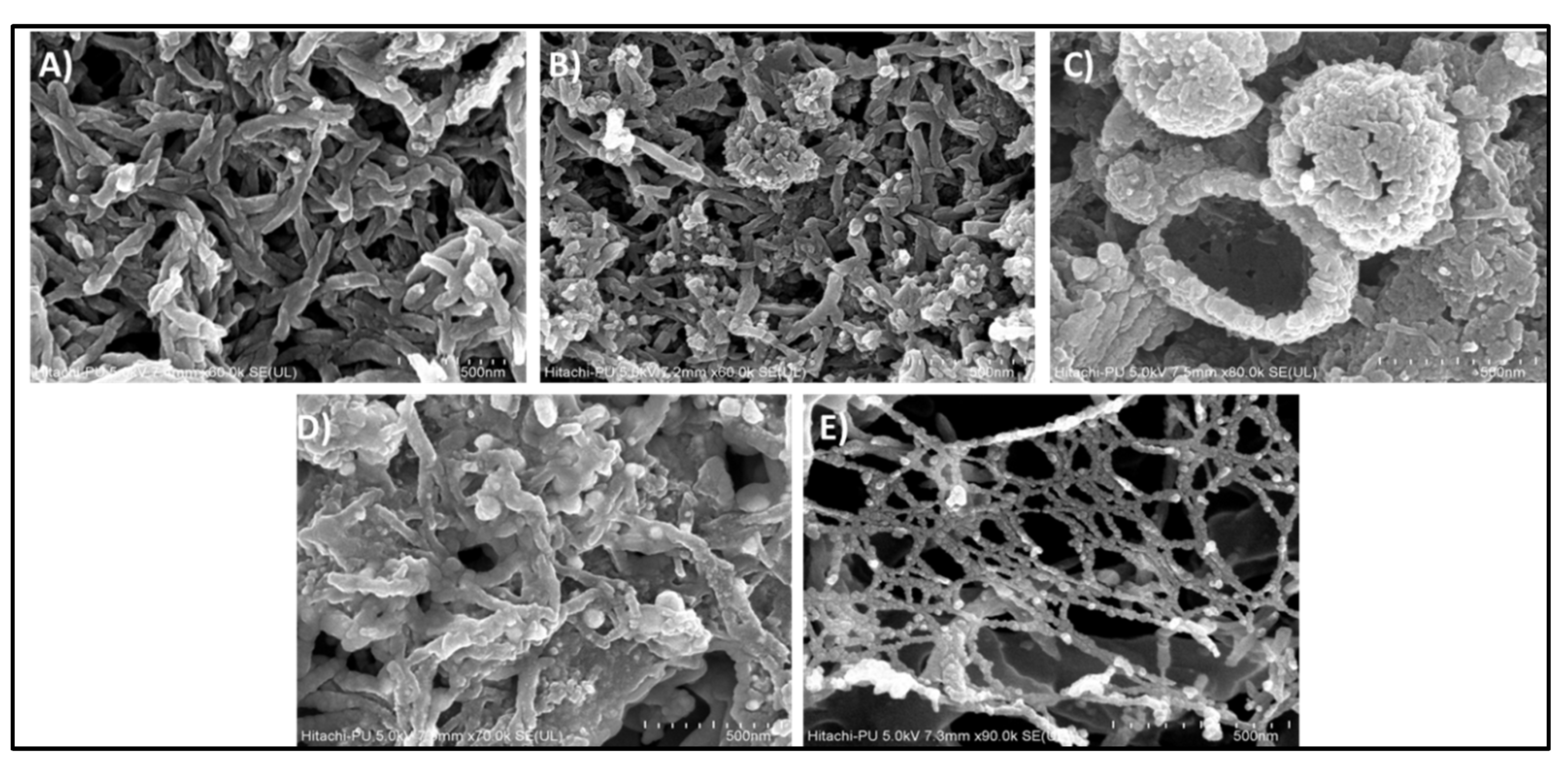 Nanomaterials 10 02404 g004