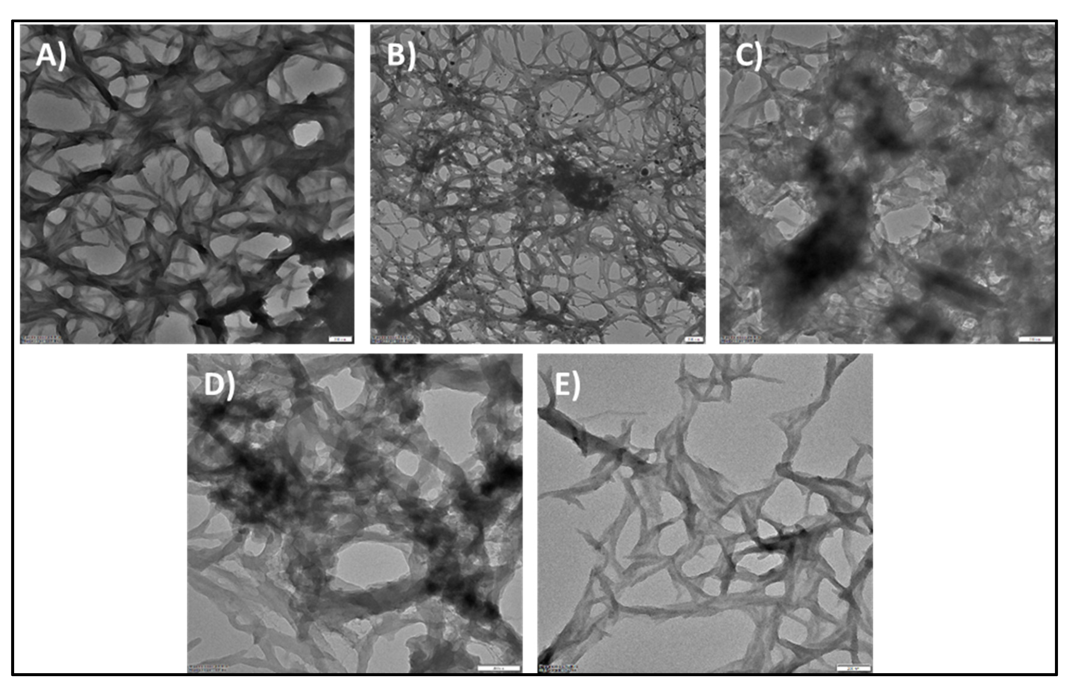 Nanomaterials 10 02404 g005