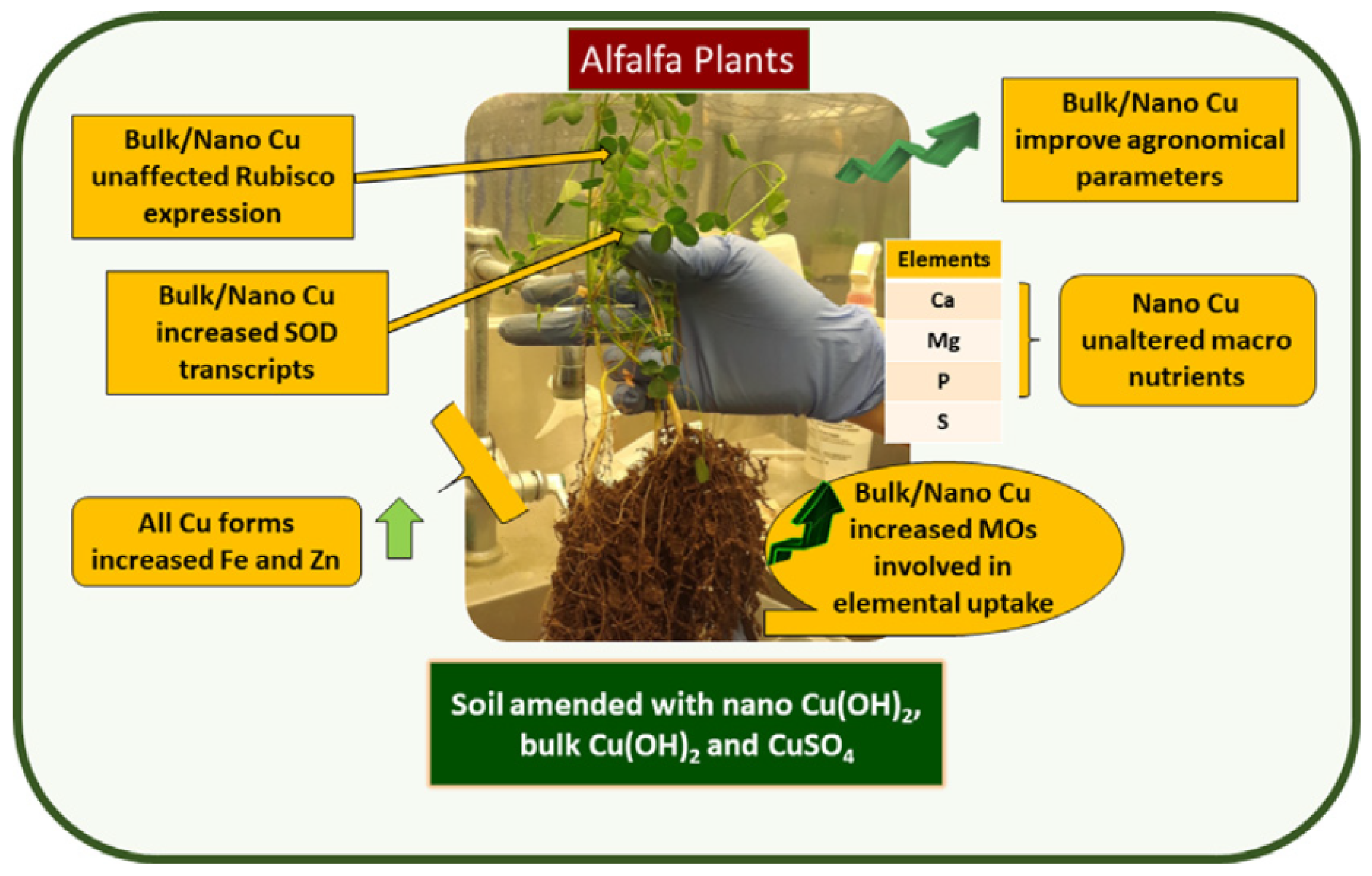 Nanomaterials 10 02411 g004