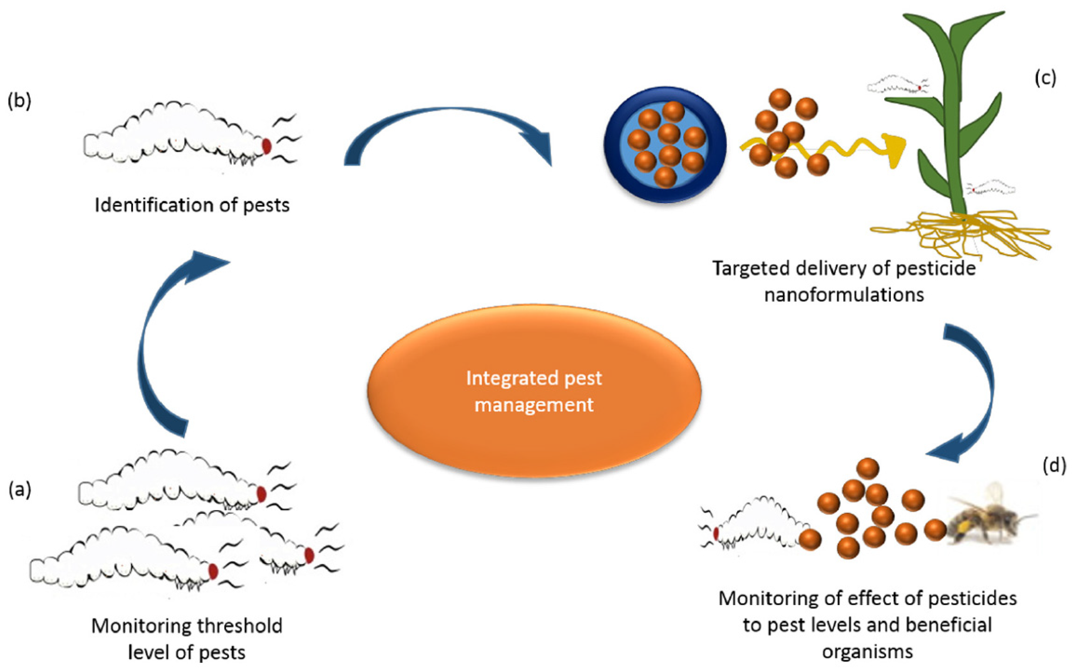 Nanomaterials 10 02411 g005