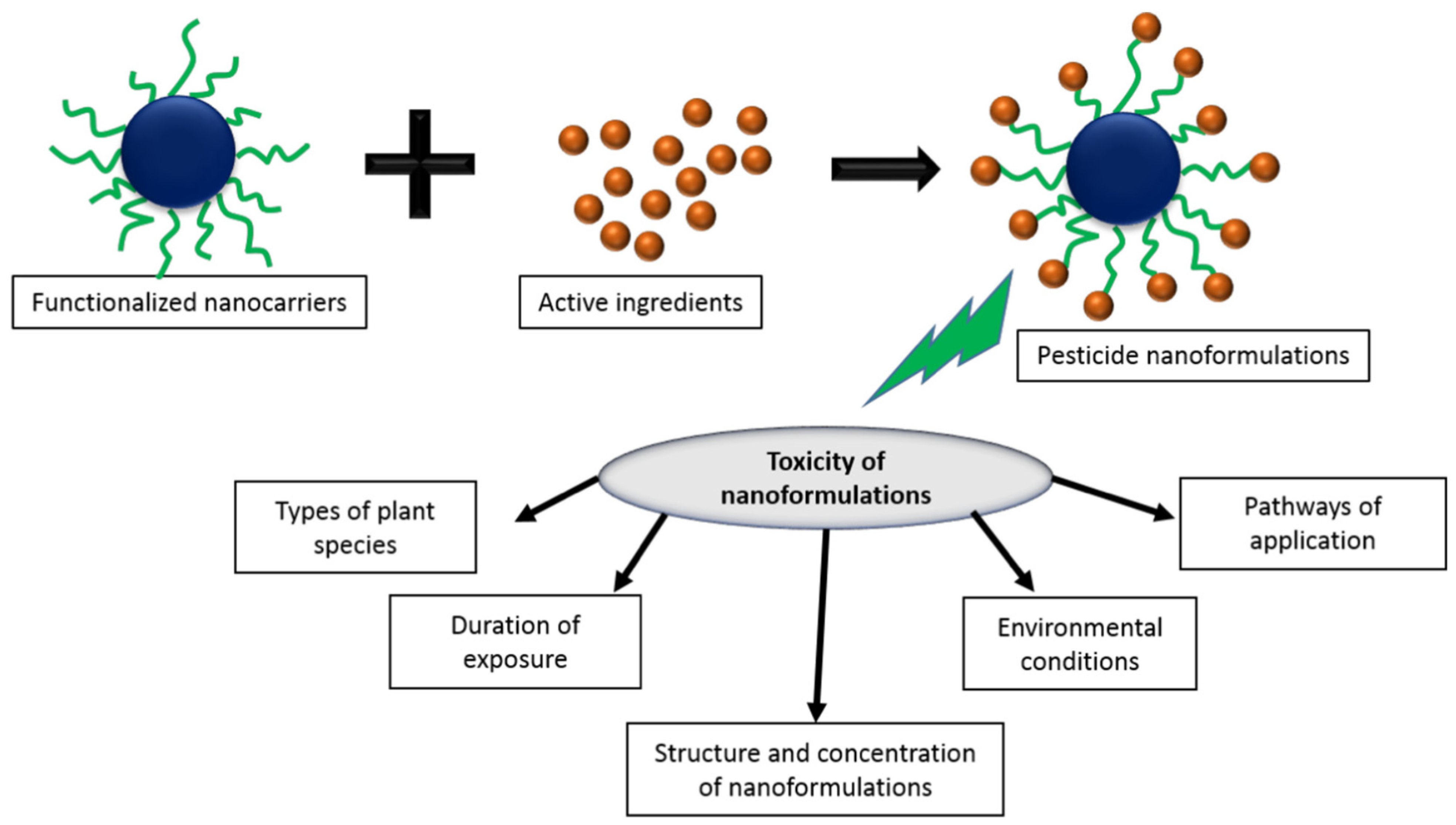 Nanomaterials 10 02411 g007