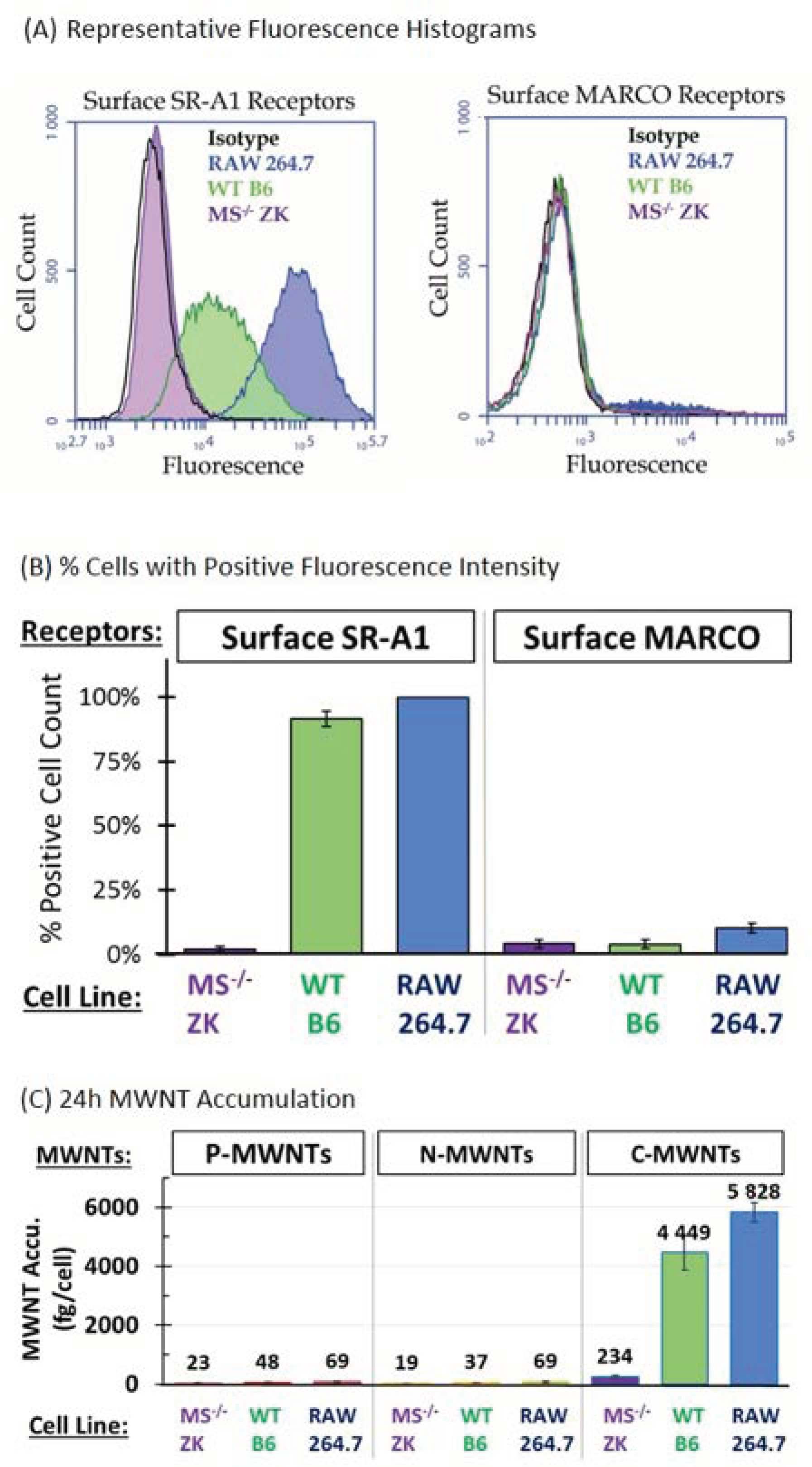 Nanomaterials 10 02417 g001 Nanomaterials 10 02417 g001