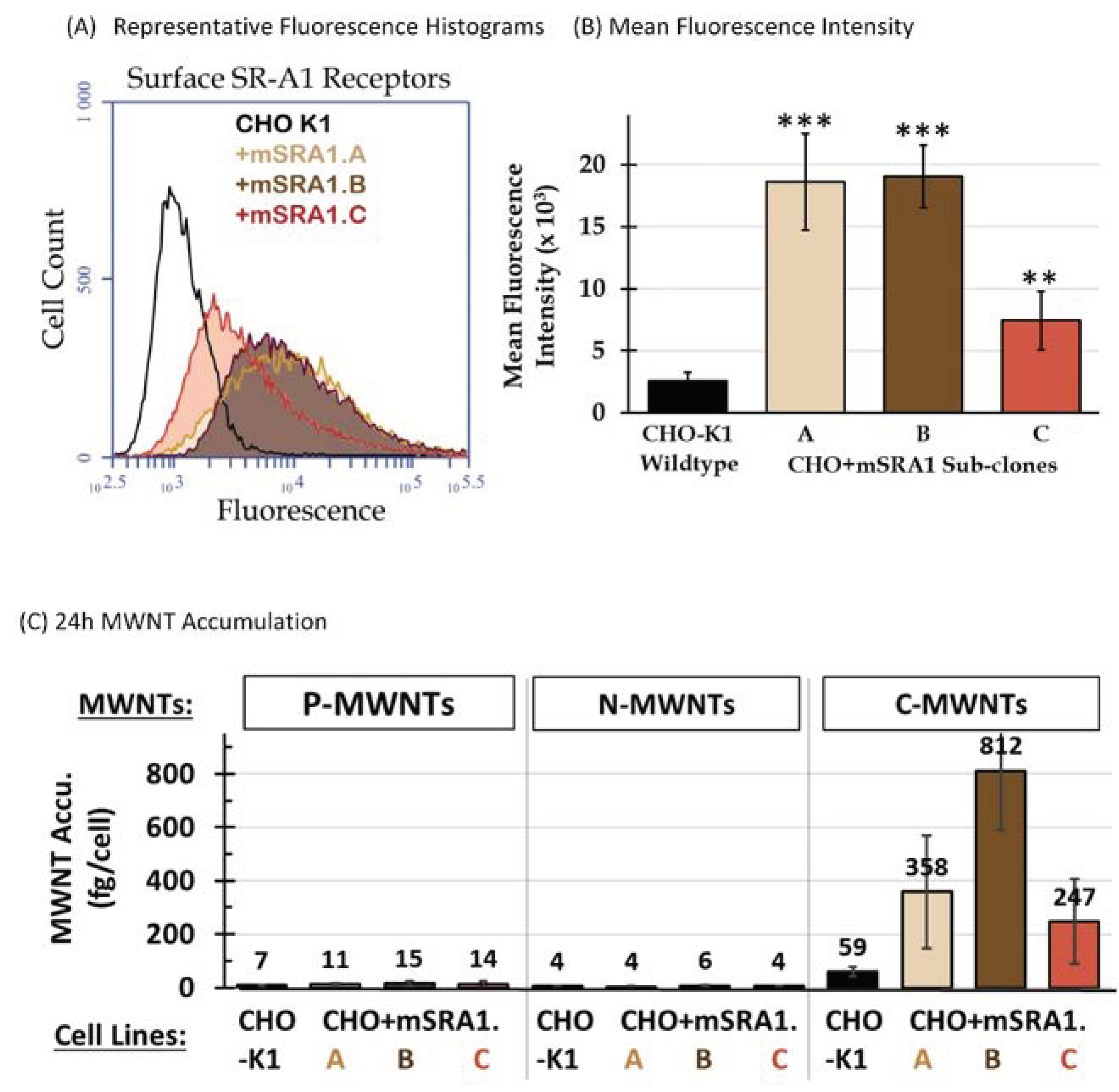 Nanomaterials 10 02417 g002 Nanomaterials 10 02417 g002