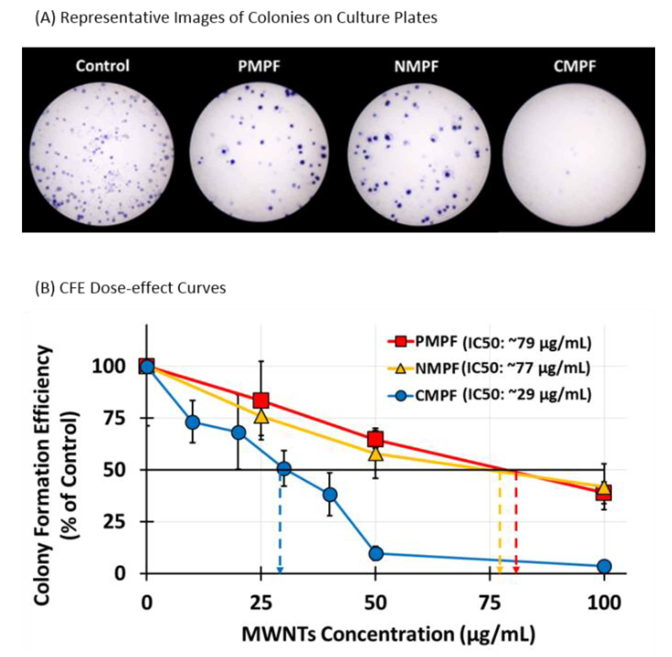 Nanomaterials 10 02417 g004 Nanomaterials 10 02417 g004
