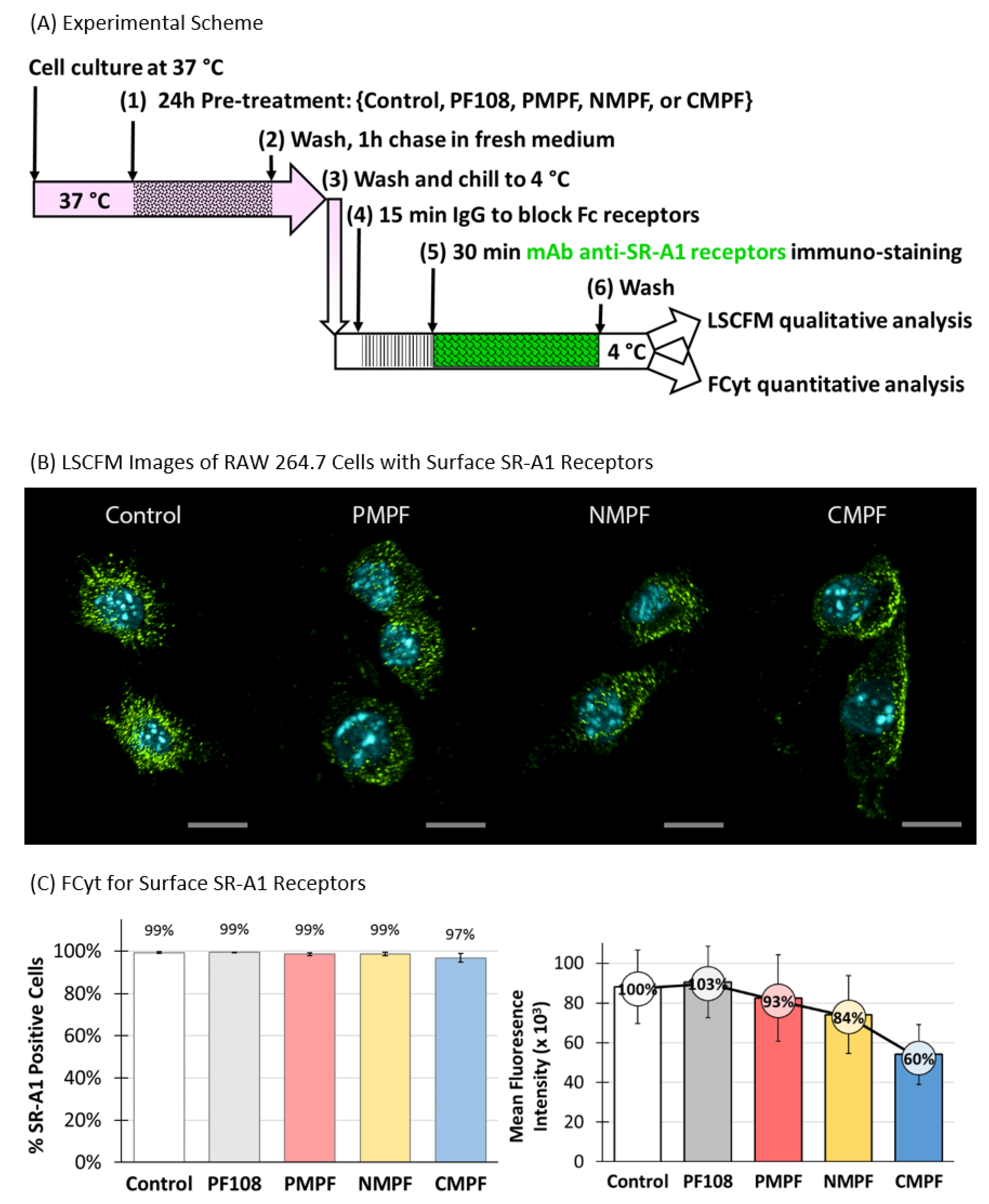 Nanomaterials 10 02417 g005 Nanomaterials 10 02417 g005