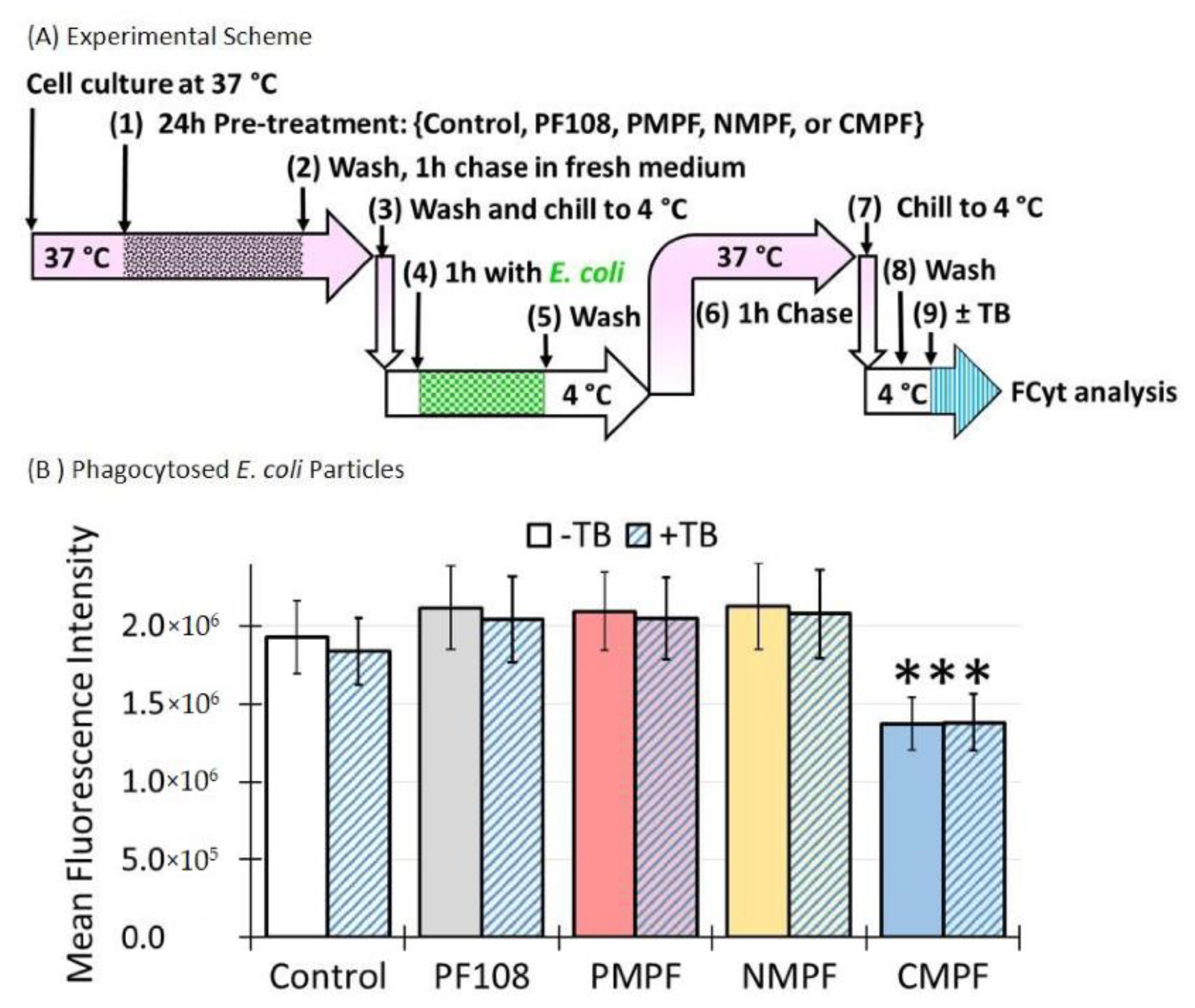 Nanomaterials 10 02417 g007 Nanomaterials 10 02417 g007