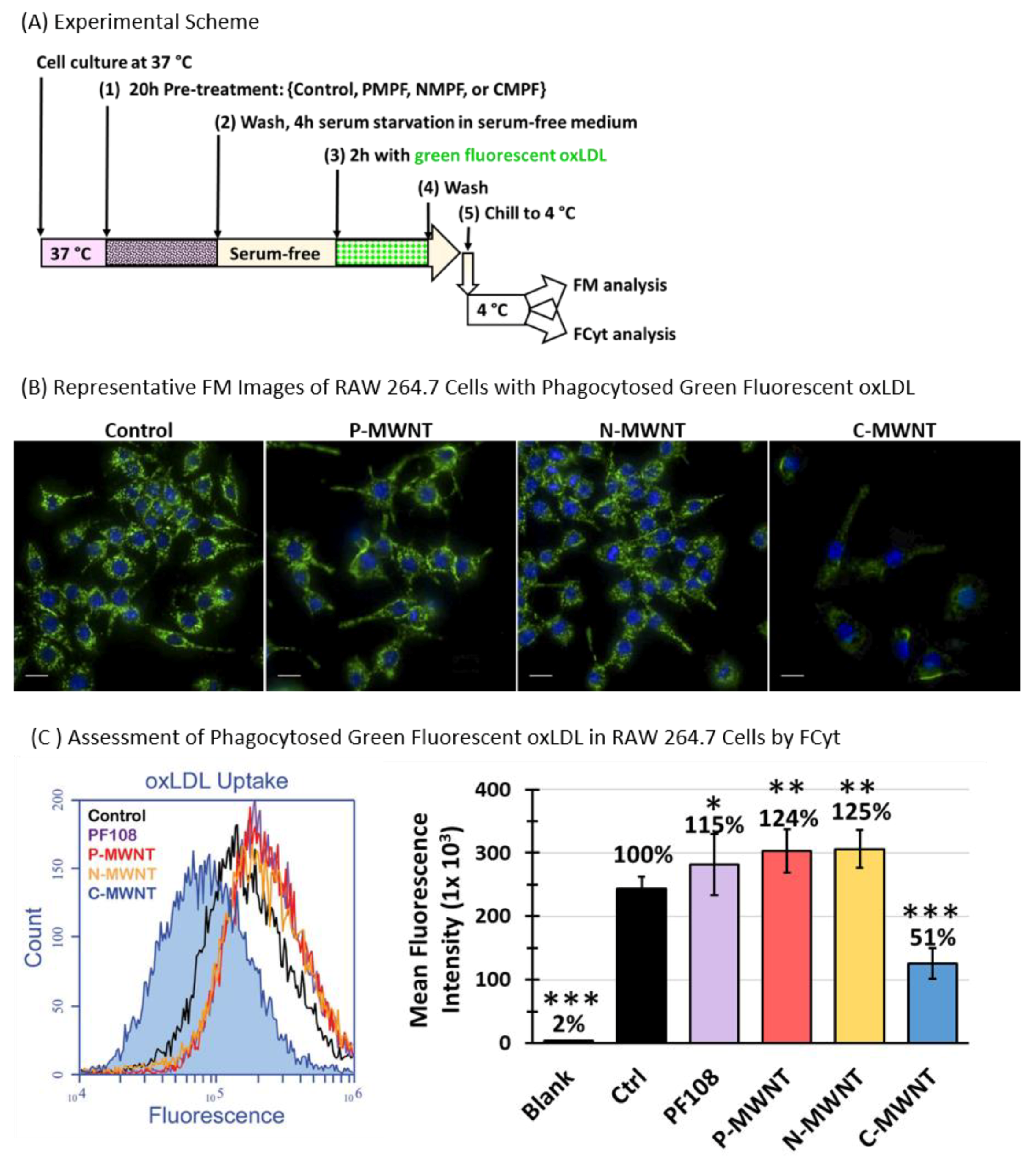 Nanomaterials 10 02417 g008 Nanomaterials 10 02417 g008