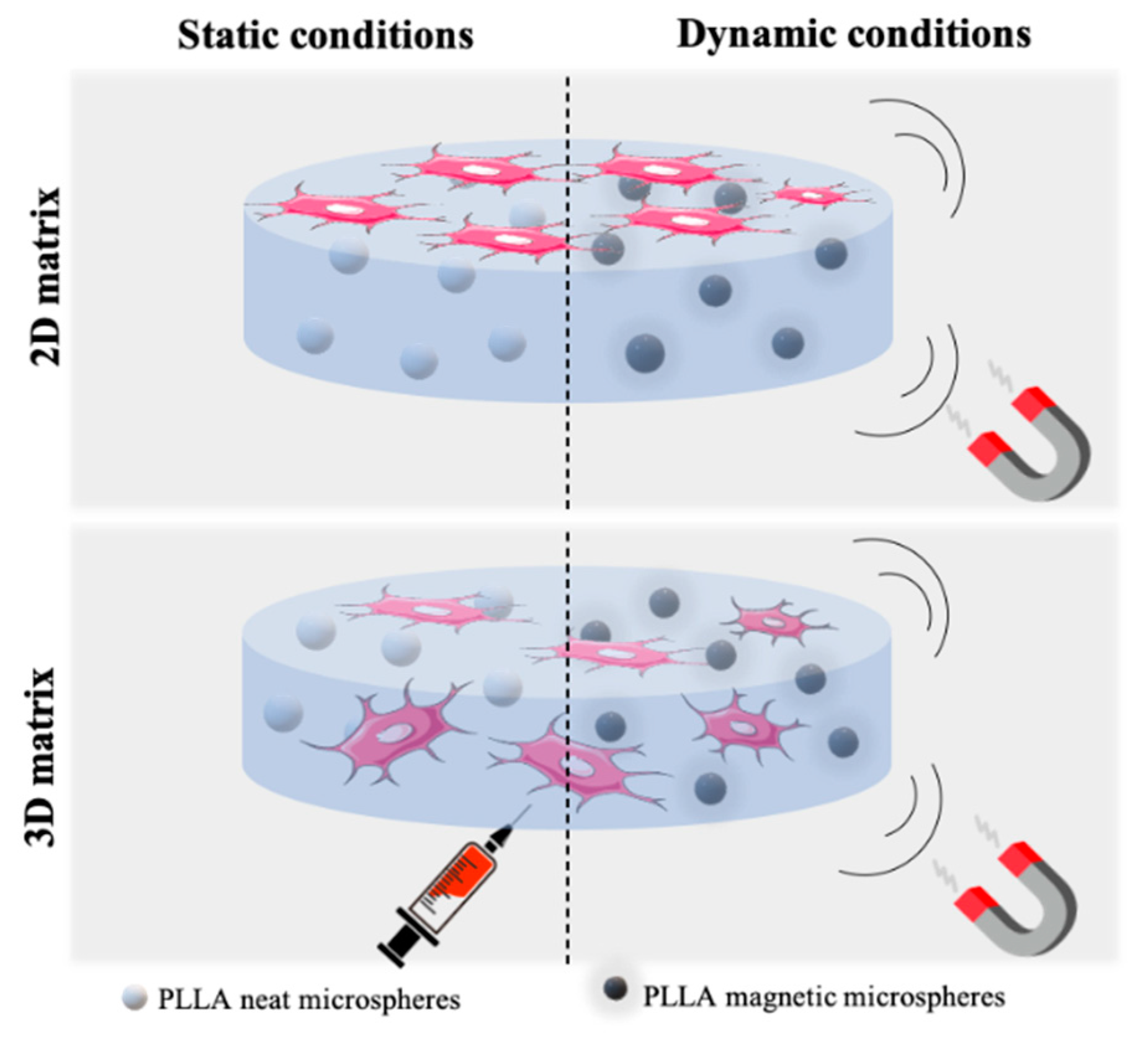 Nanomaterials 10 02421 g001