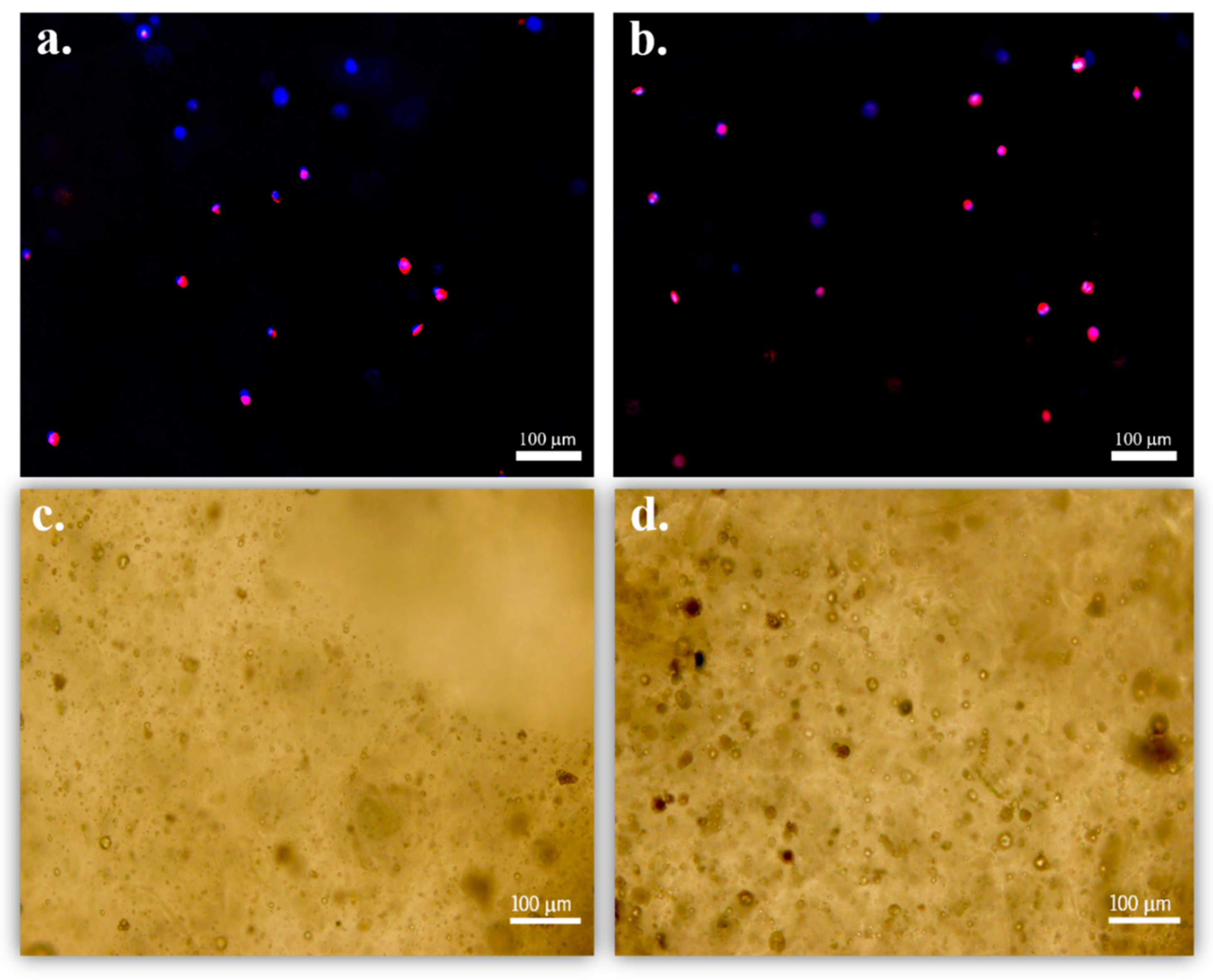 Nanomaterials 10 02421 g005
