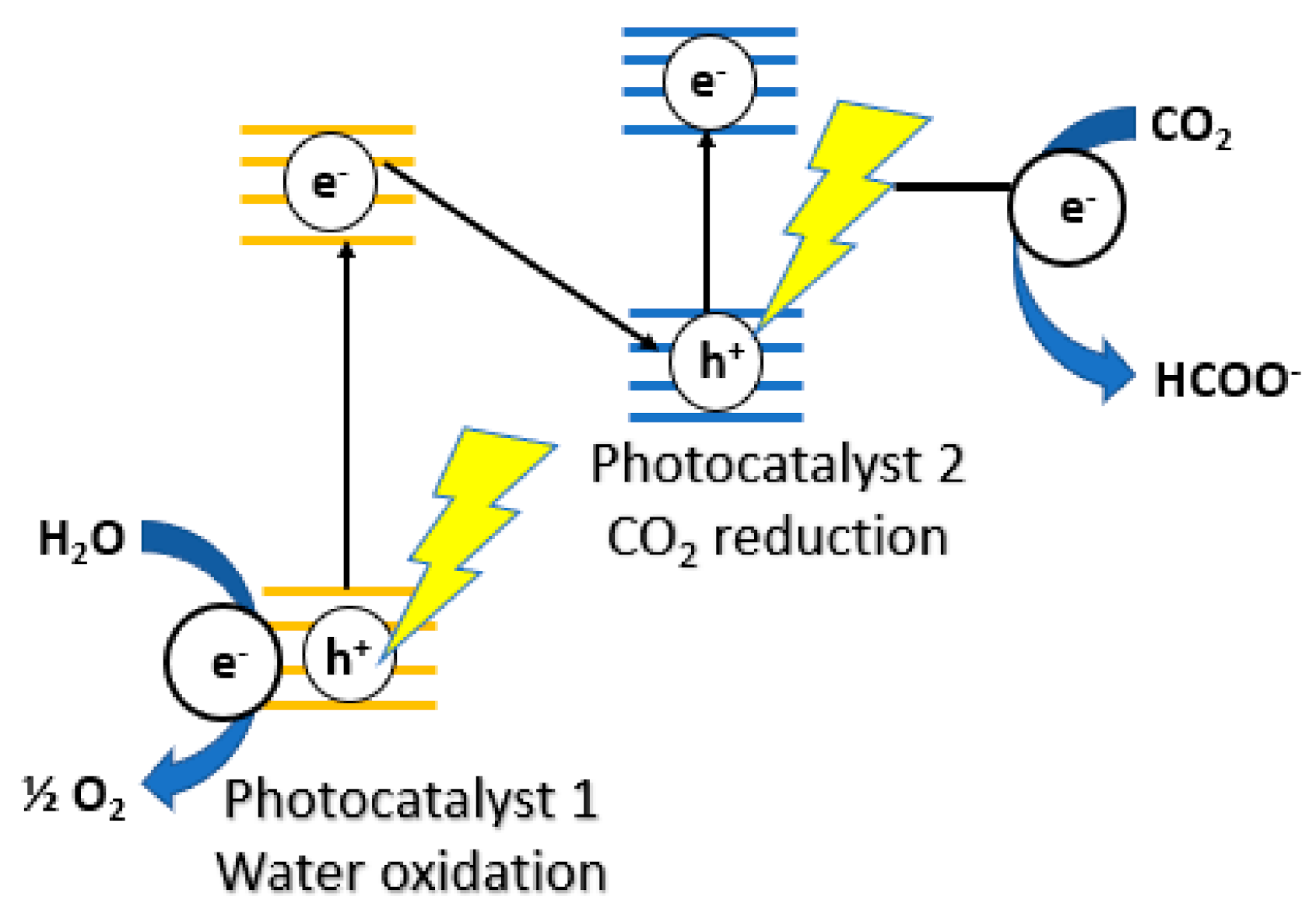 Nanomaterials 10 02422 g007