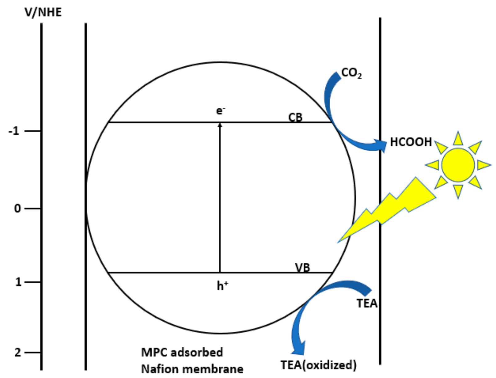 Nanomaterials 10 02422 g008
