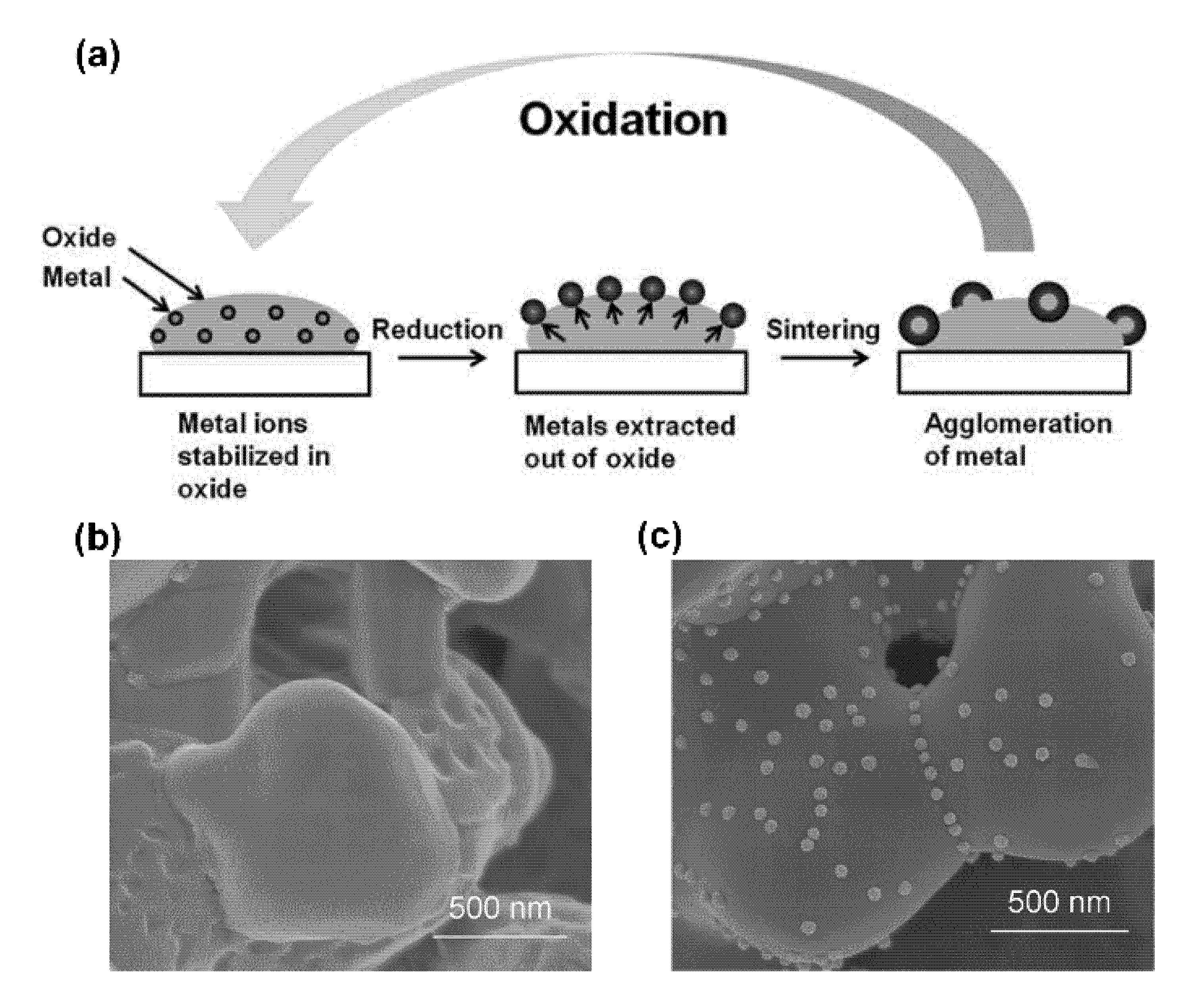 Nanomaterials 10 02445 g001