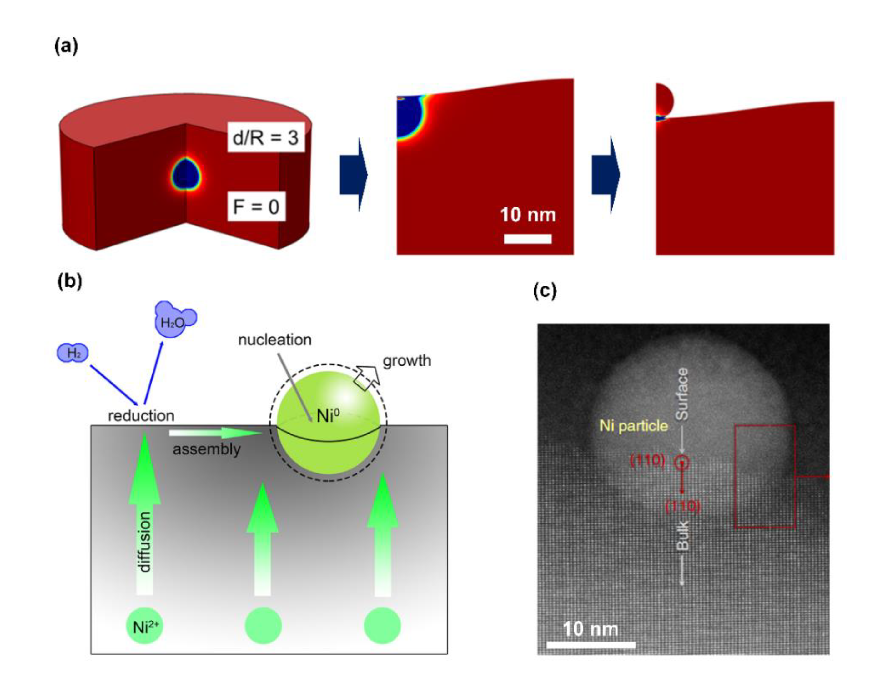 Nanomaterials 10 02445 g004