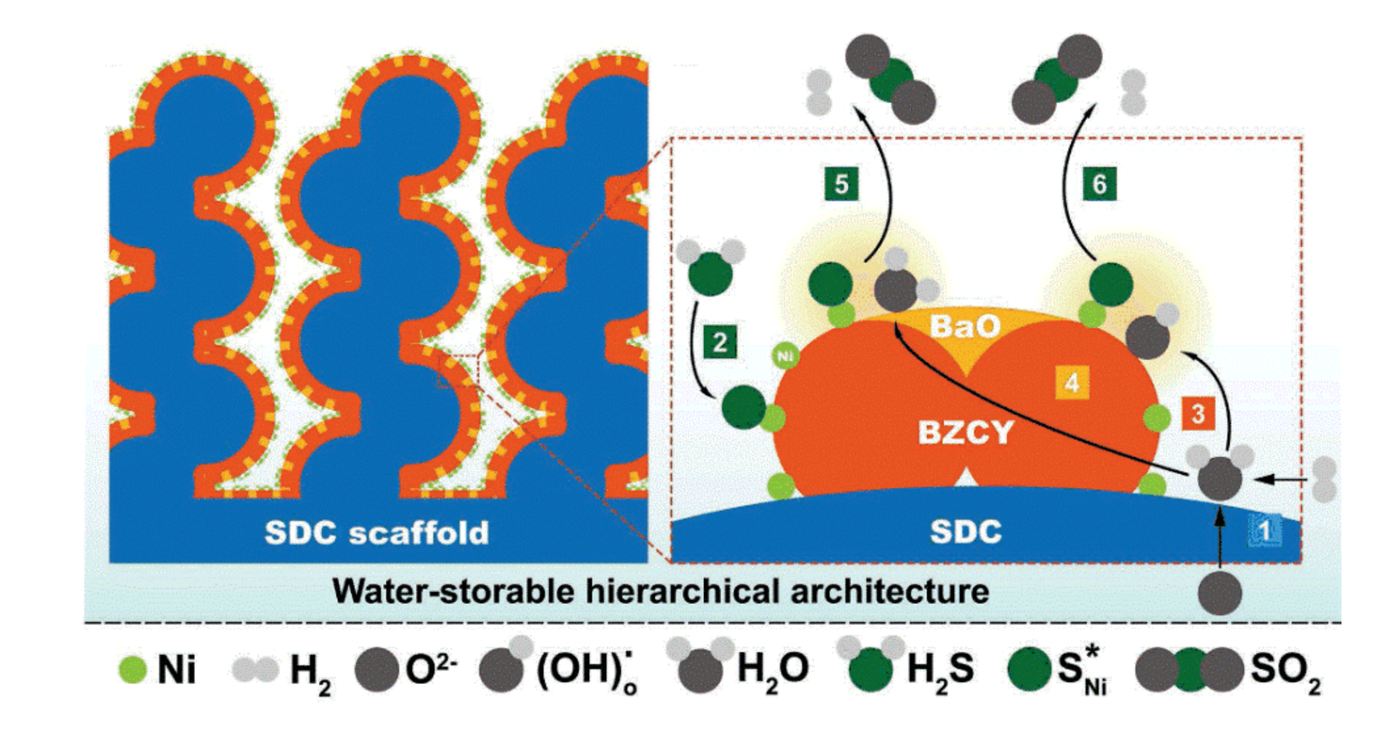 Nanomaterials 10 02445 g006