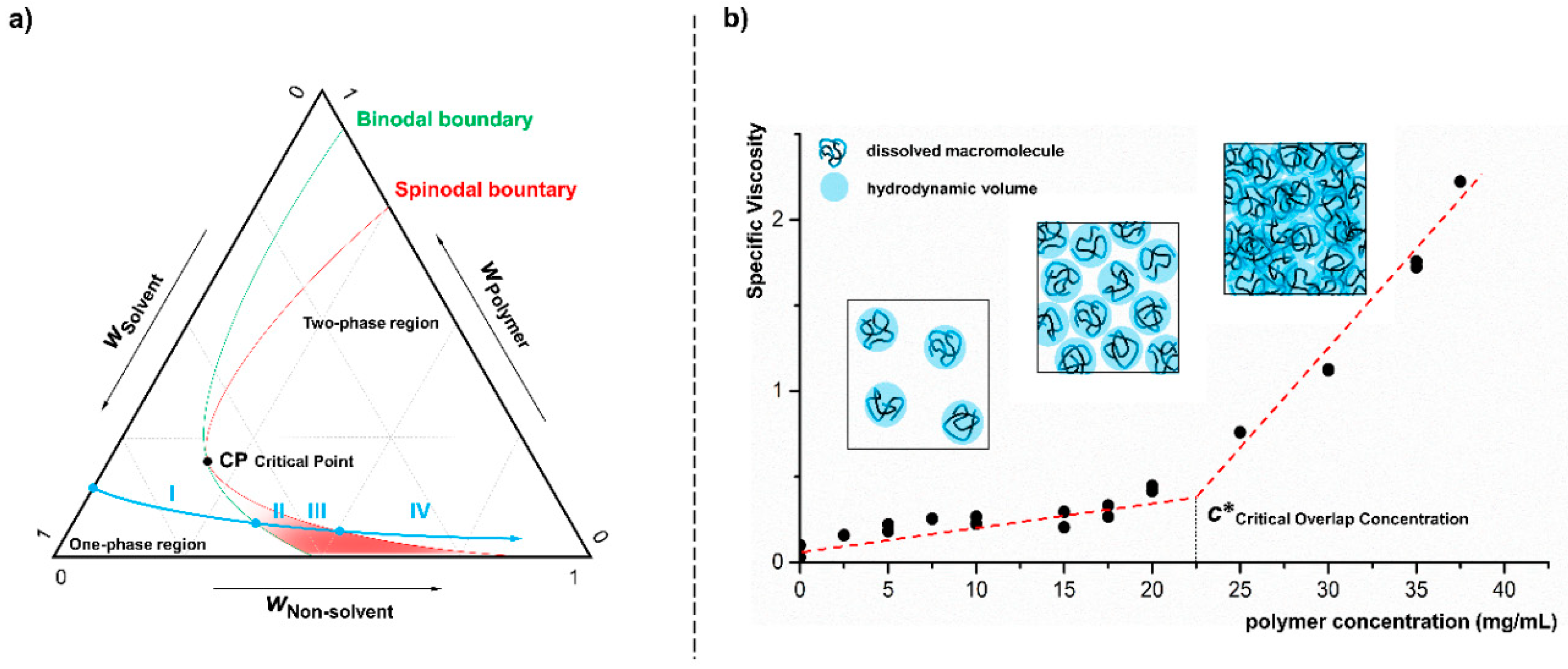 Nanomaterials 10 02447 g001