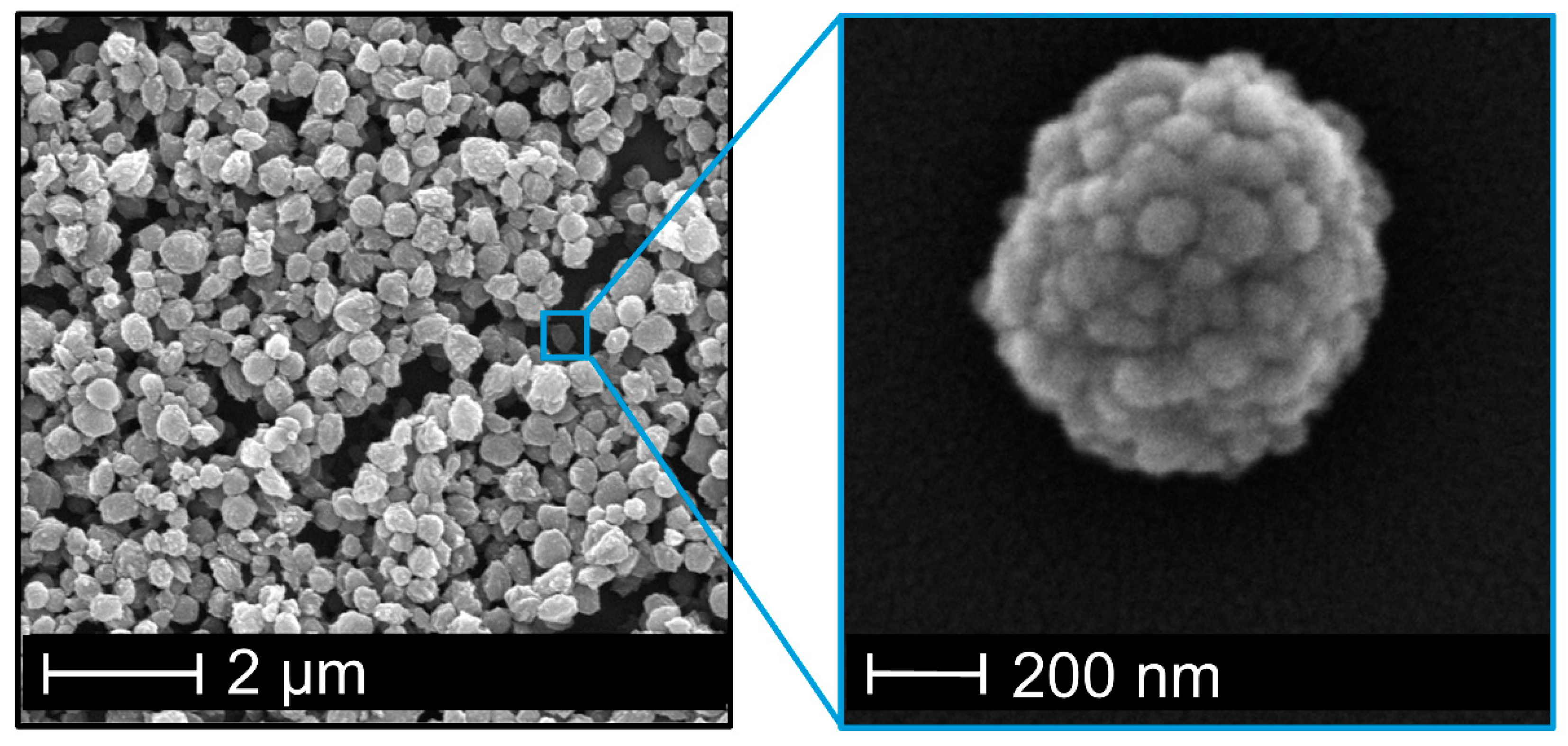 Nanomaterials 10 02447 g002