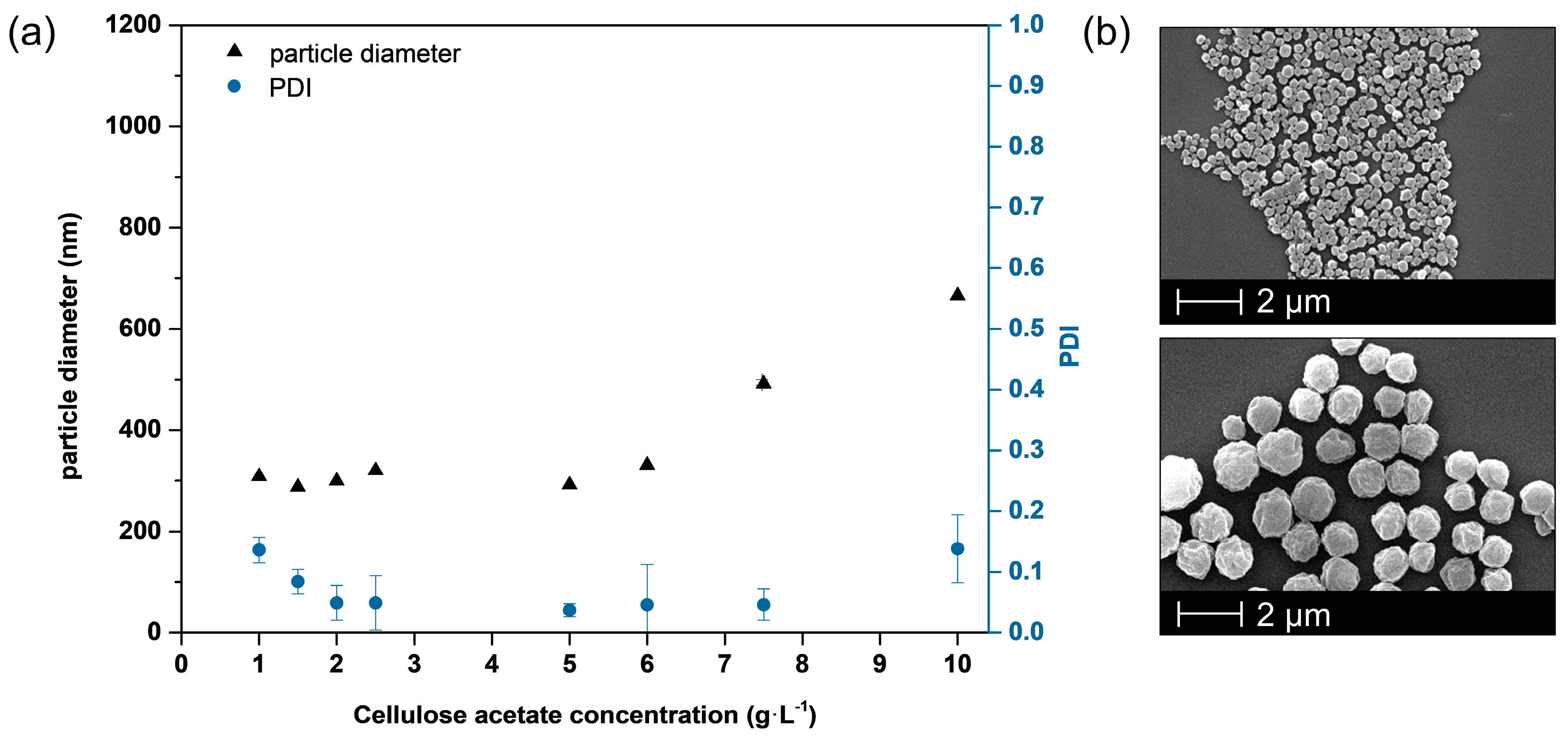 Nanomaterials 10 02447 g003