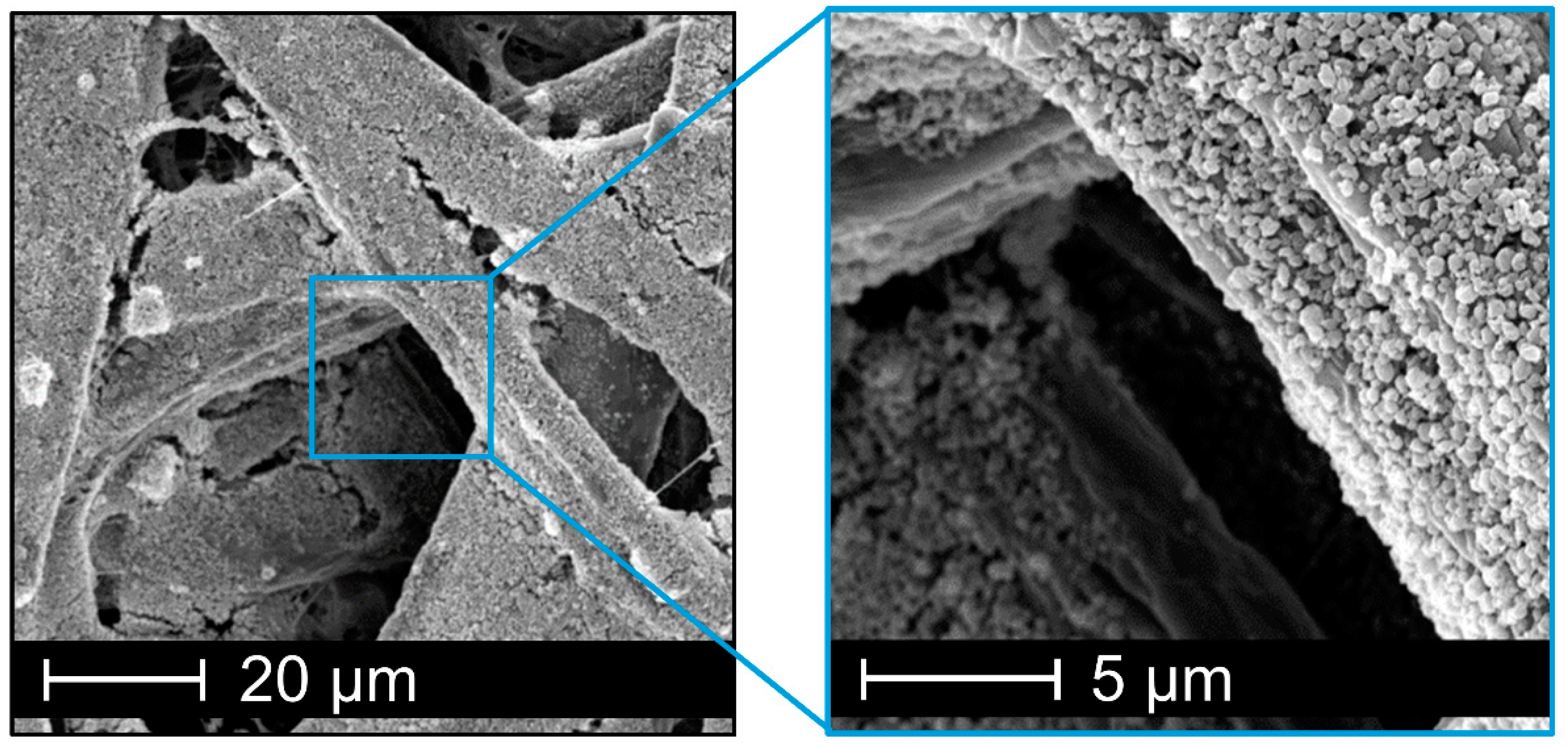 Nanomaterials 10 02447 g008