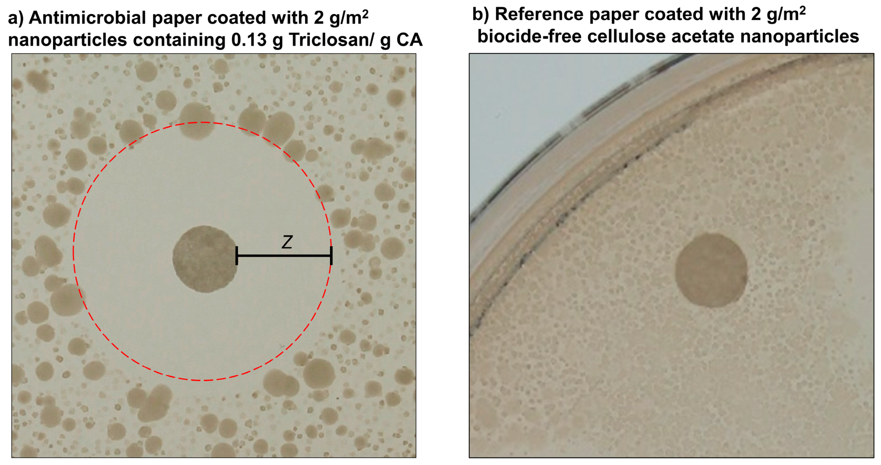 Nanomaterials 10 02447 g009