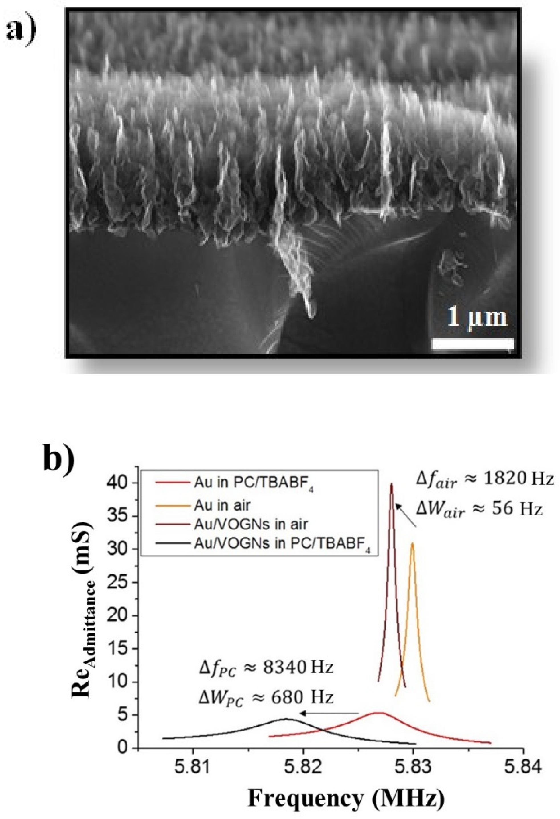 Nanomaterials 10 02451 g001
