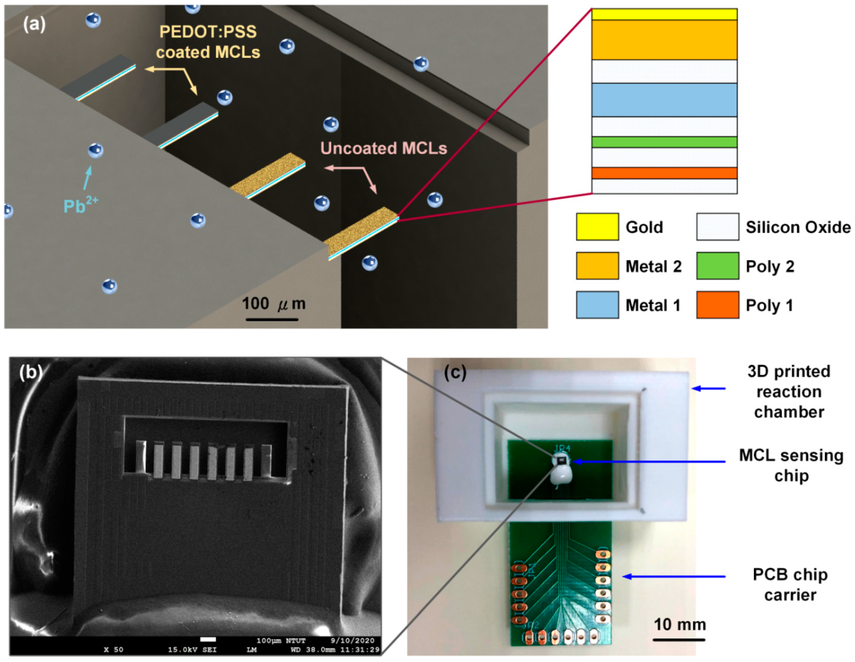 Nanomaterials 10 02454 g001