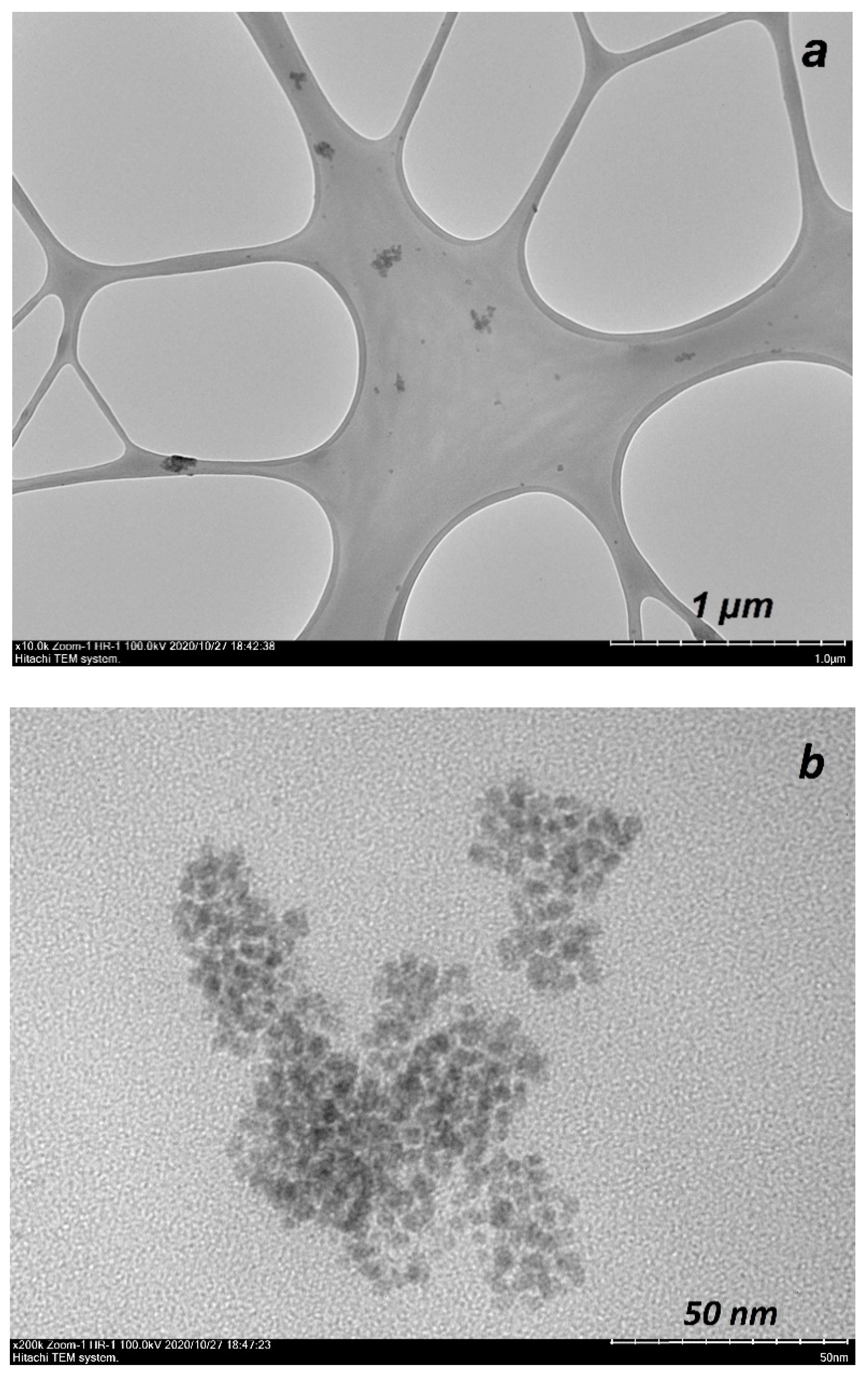 Nanomaterials 10 02457 g006a