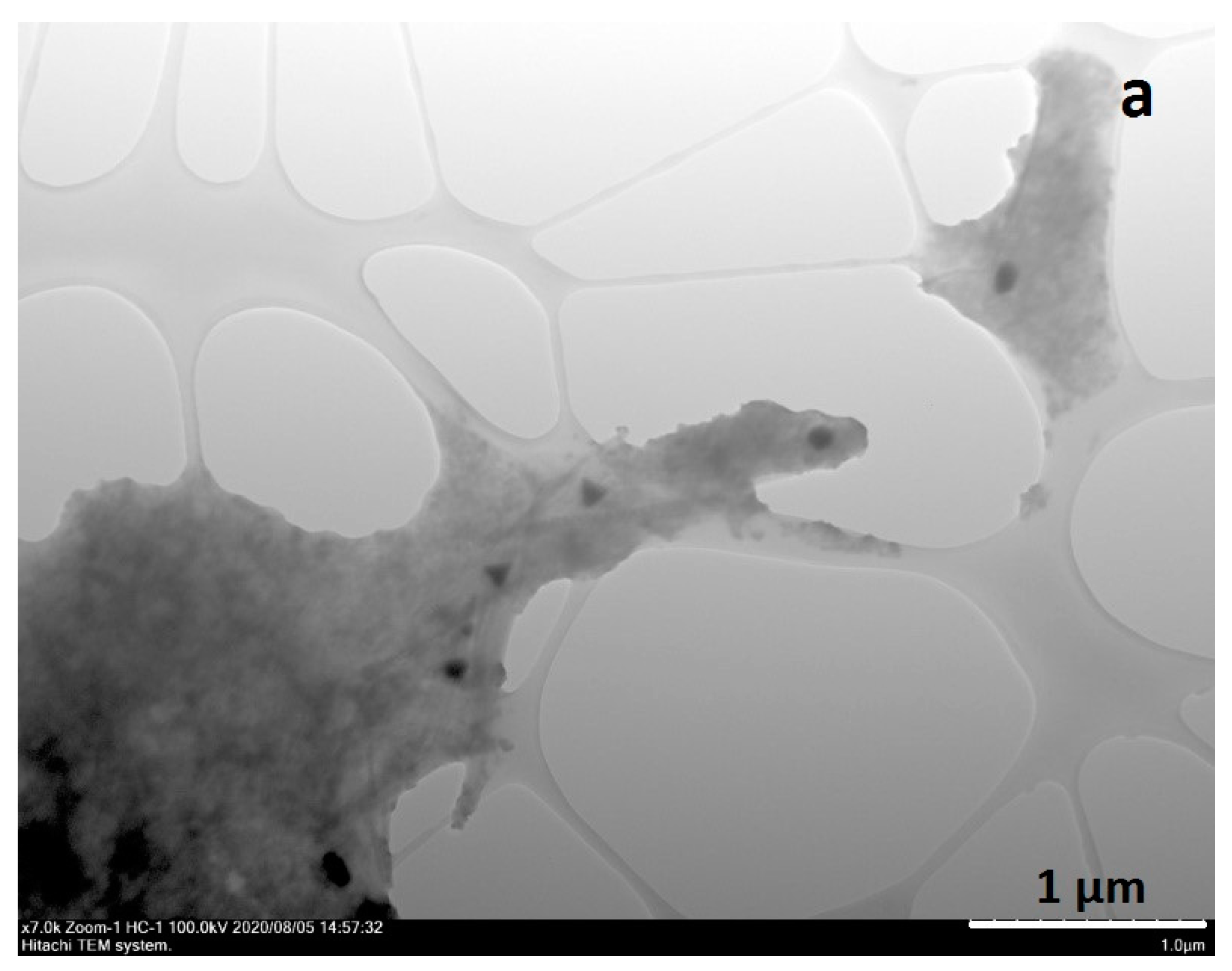 Nanomaterials 10 02457 g007a