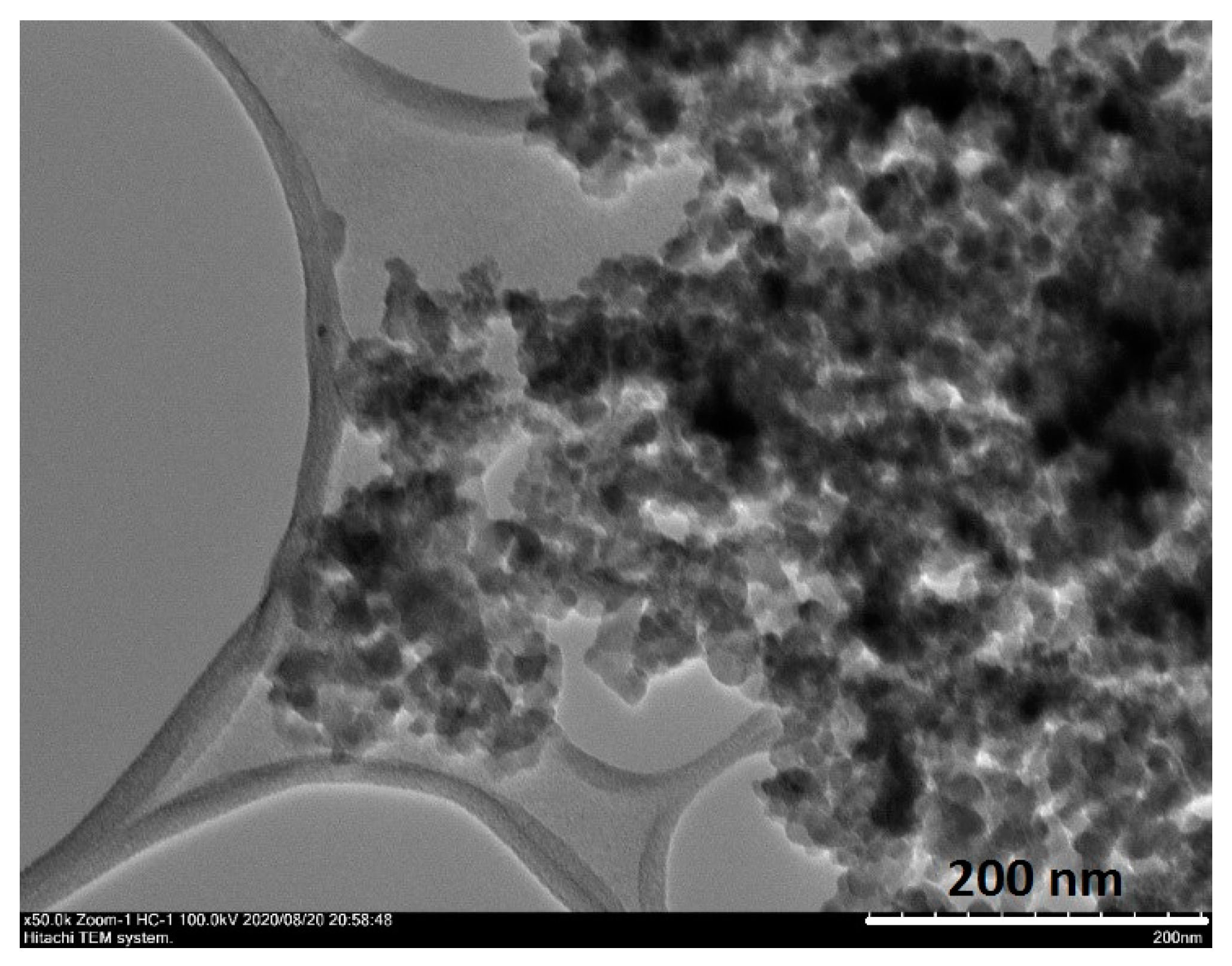 Nanomaterials 10 02457 g009