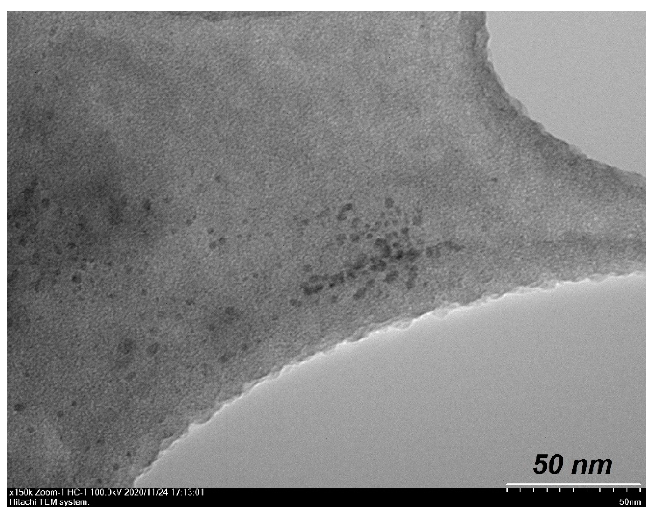 Nanomaterials 10 02457 g010