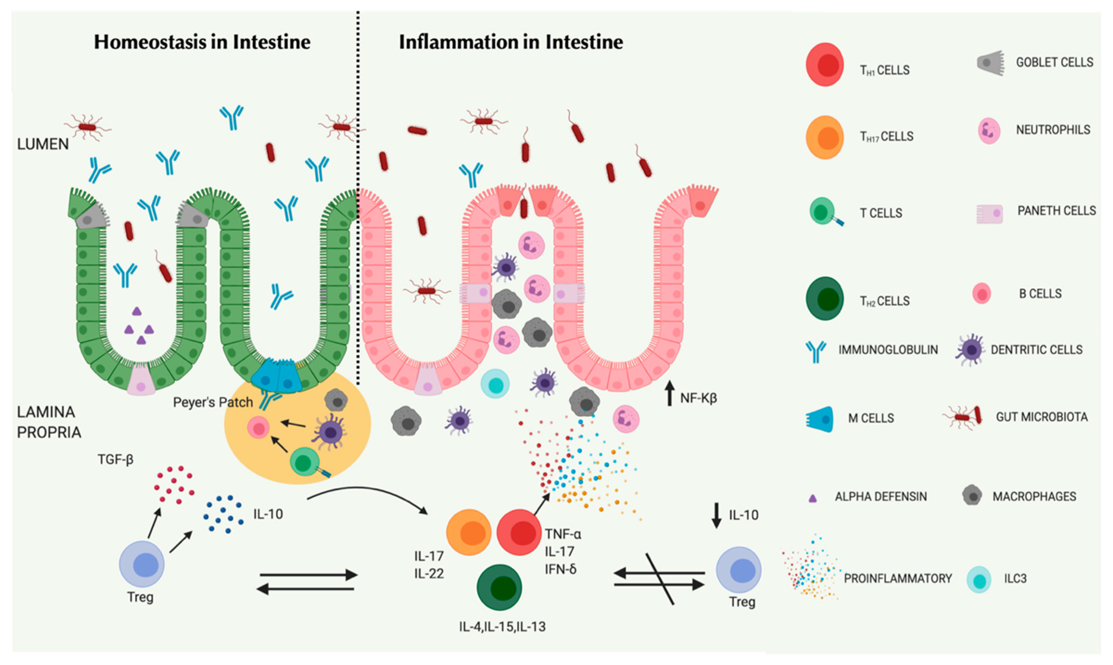 Nanomaterials 10 02460 g003 Nanomaterials 10 02460 g003
