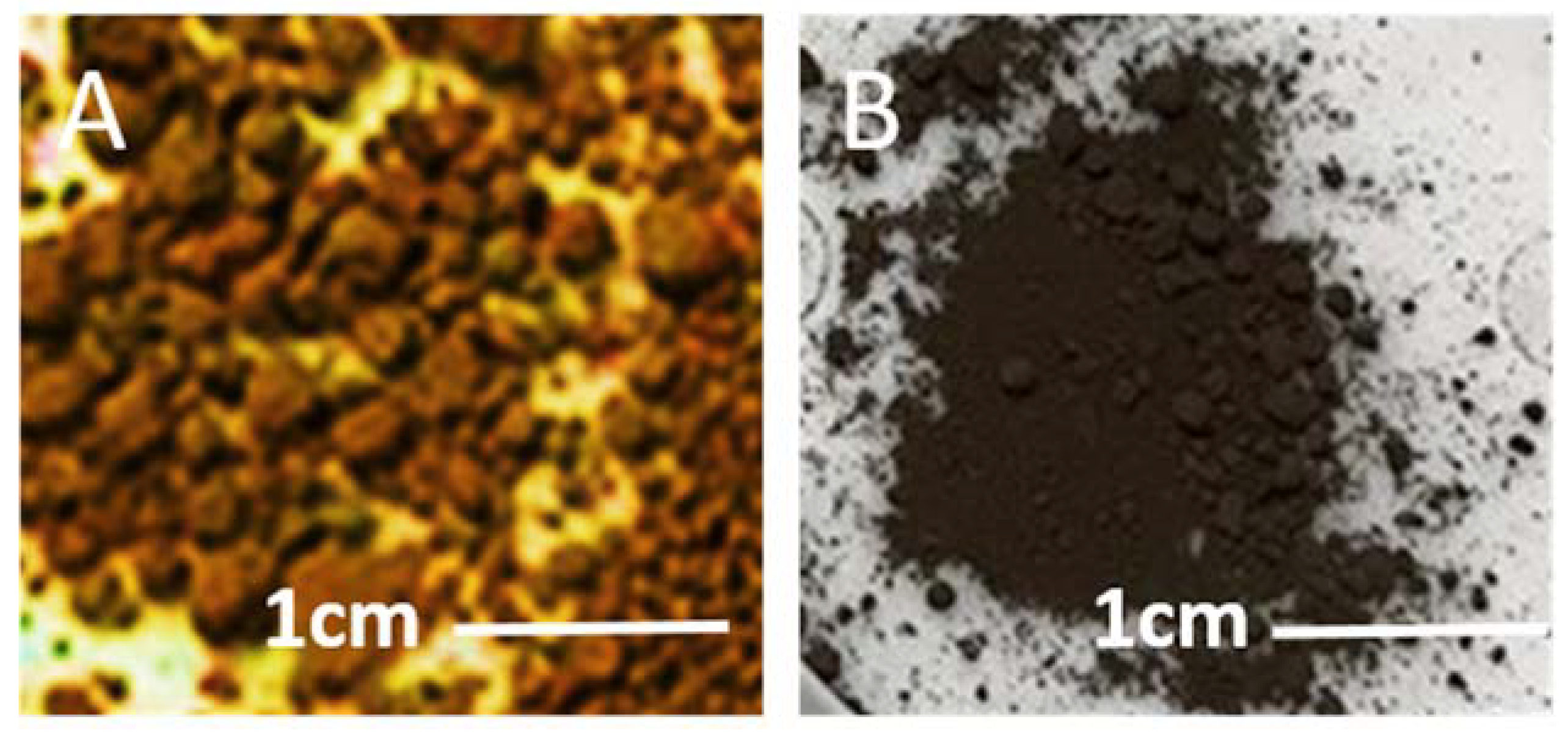 Nanomaterials 10 02467 g001 Nanomaterials 10 02467 g001