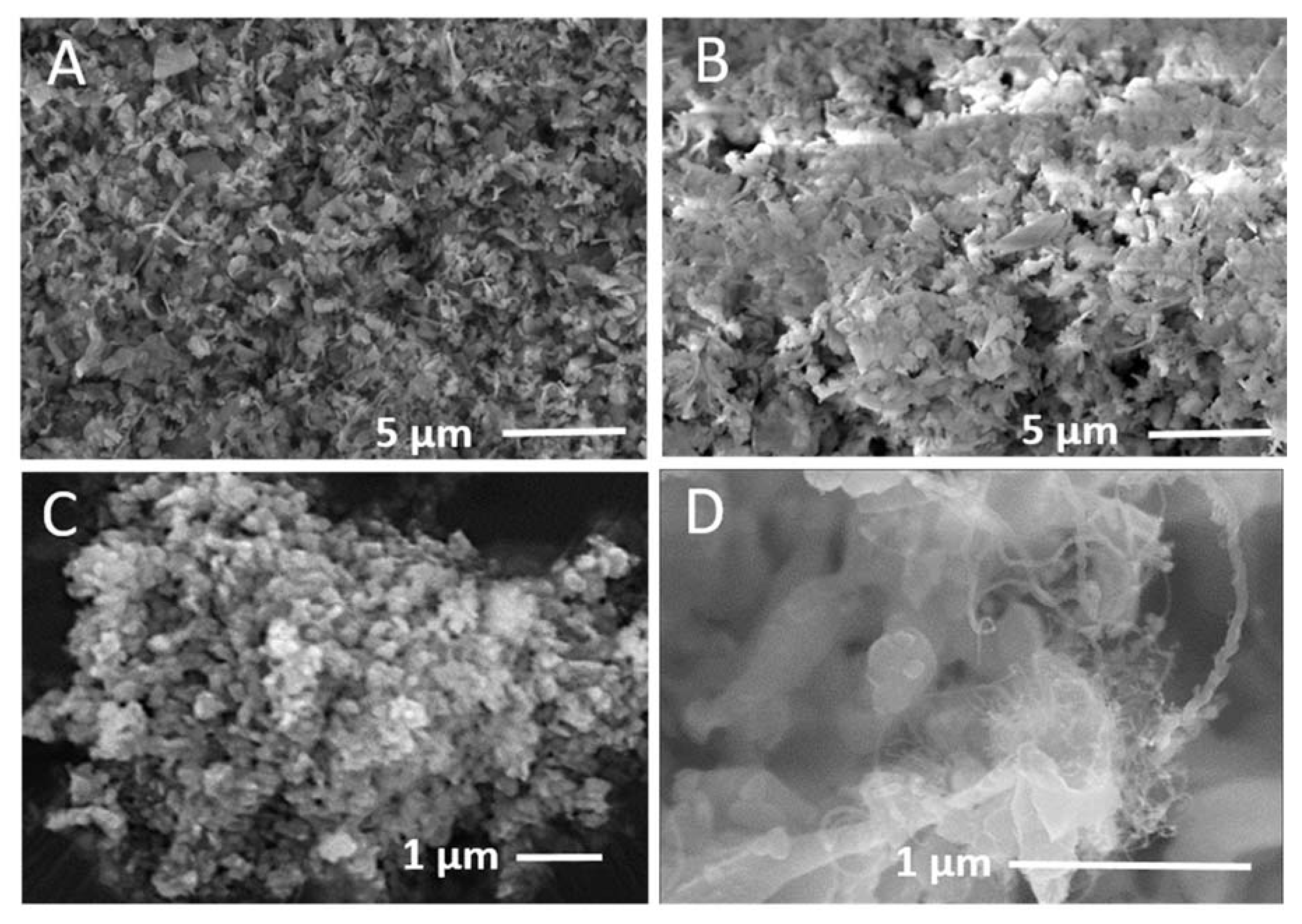 Nanomaterials 10 02467 g004 Nanomaterials 10 02467 g004