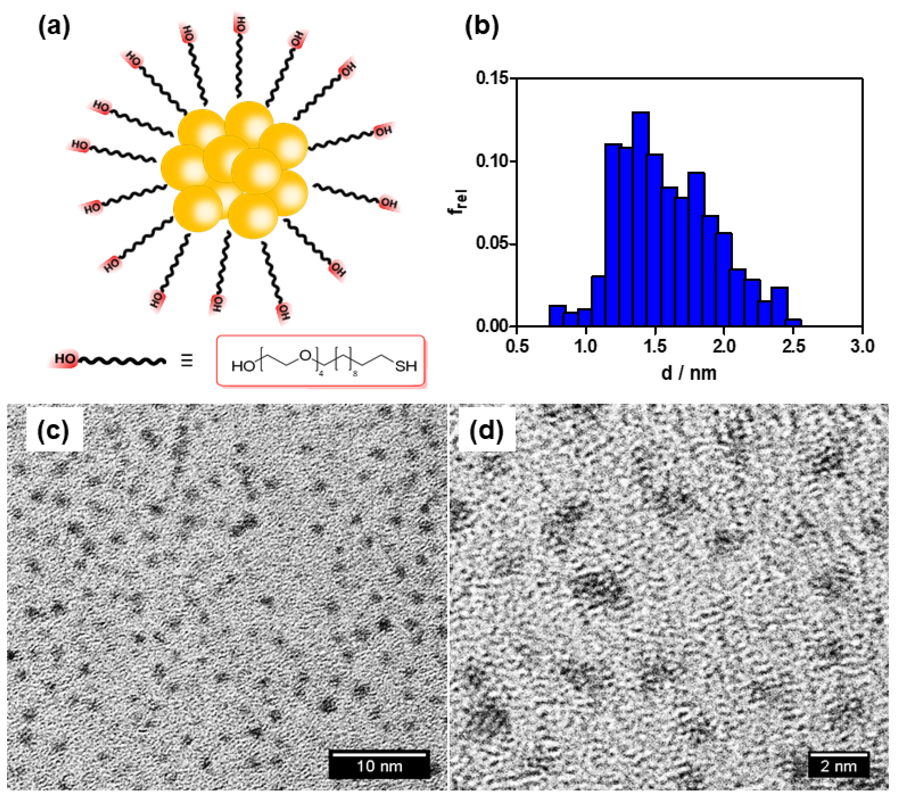 Nanomaterials 10 02474 g001