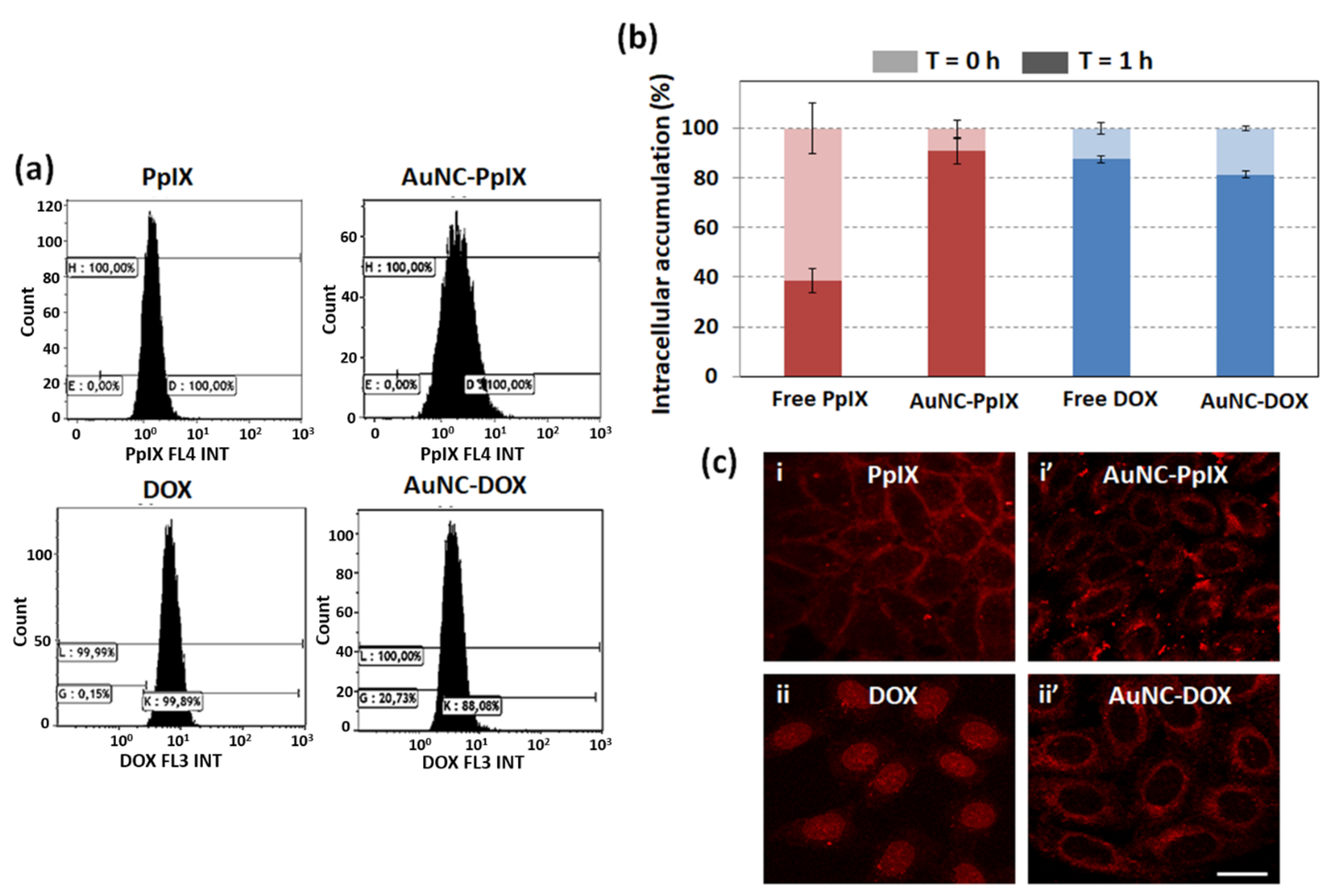 Nanomaterials 10 02474 g005