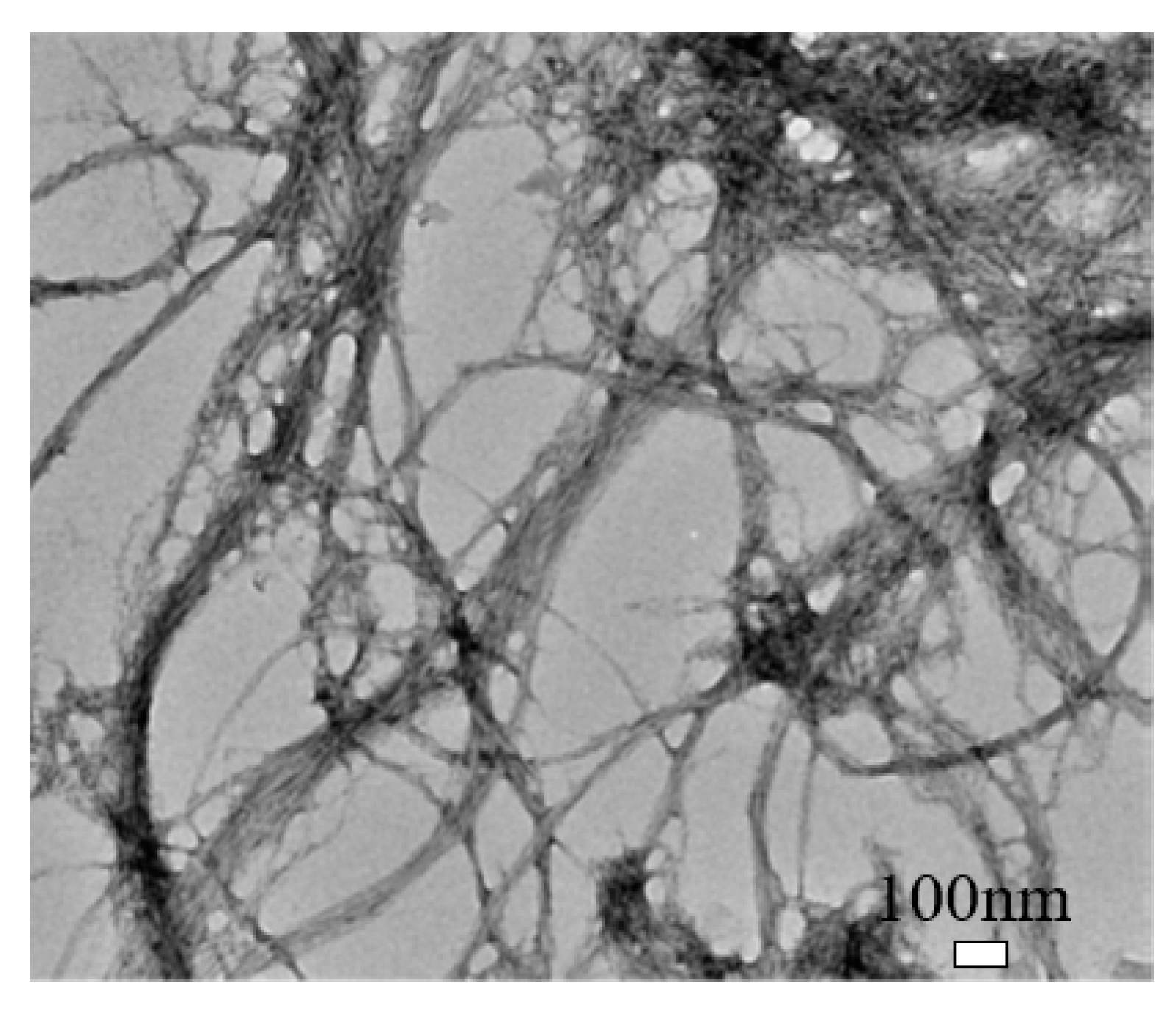 Nanomaterials 10 02476 g003 Nanomaterials 10 02476 g003
