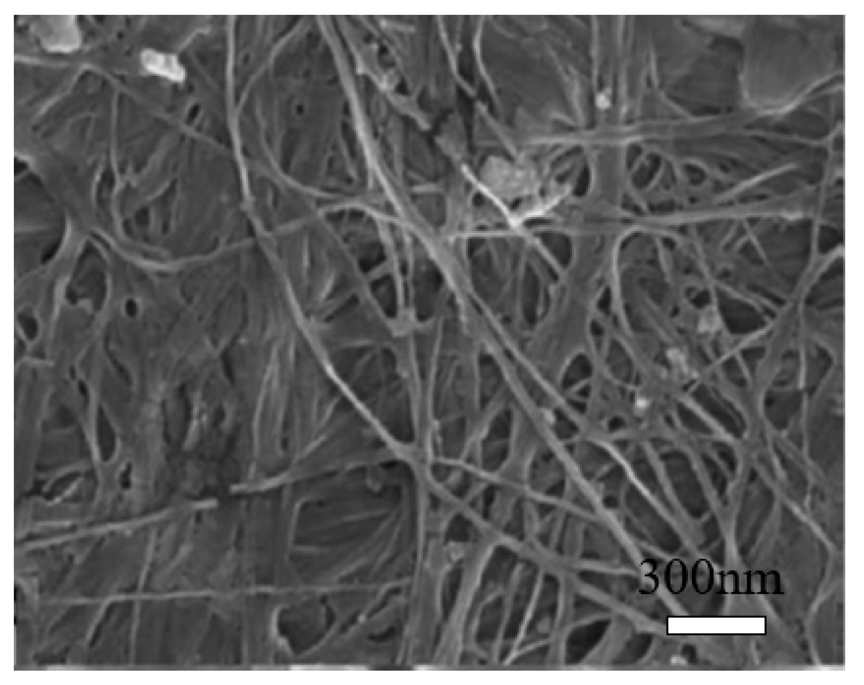 Nanomaterials 10 02476 g004 Nanomaterials 10 02476 g004