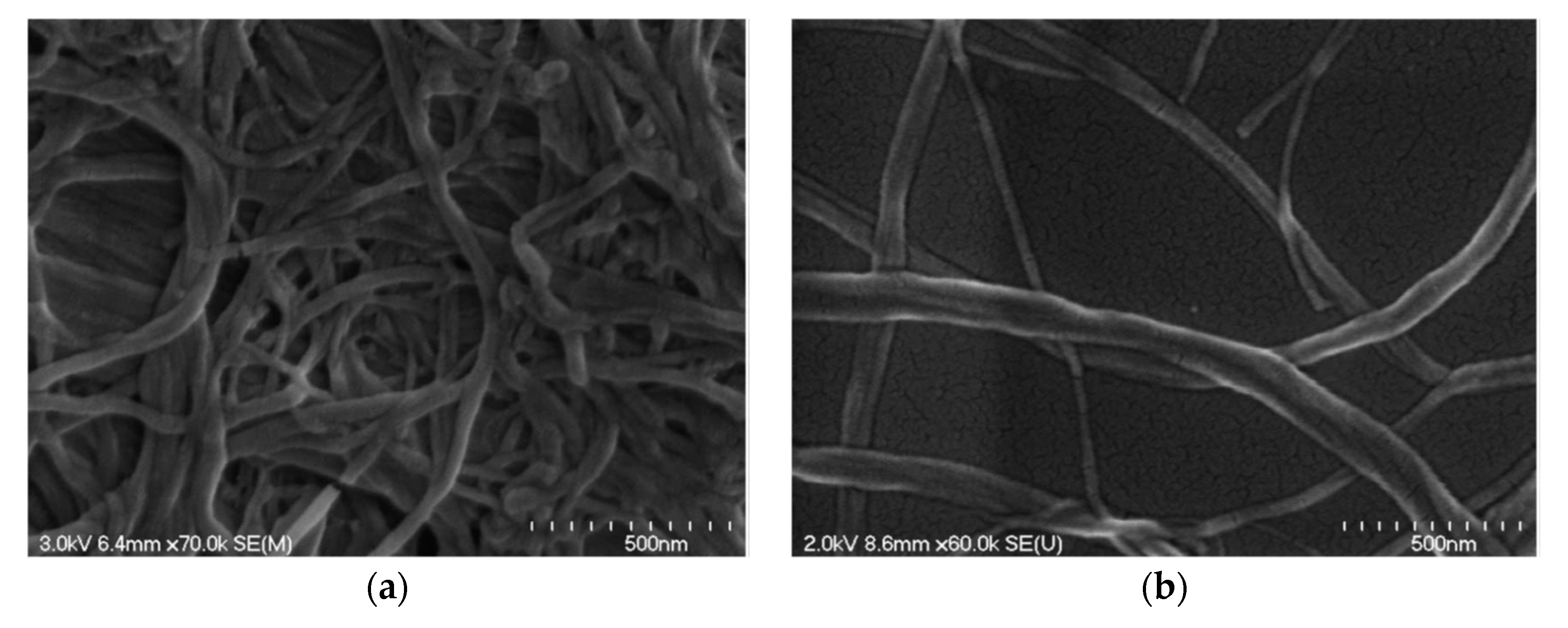 Nanomaterials 10 02476 g005 Nanomaterials 10 02476 g005
