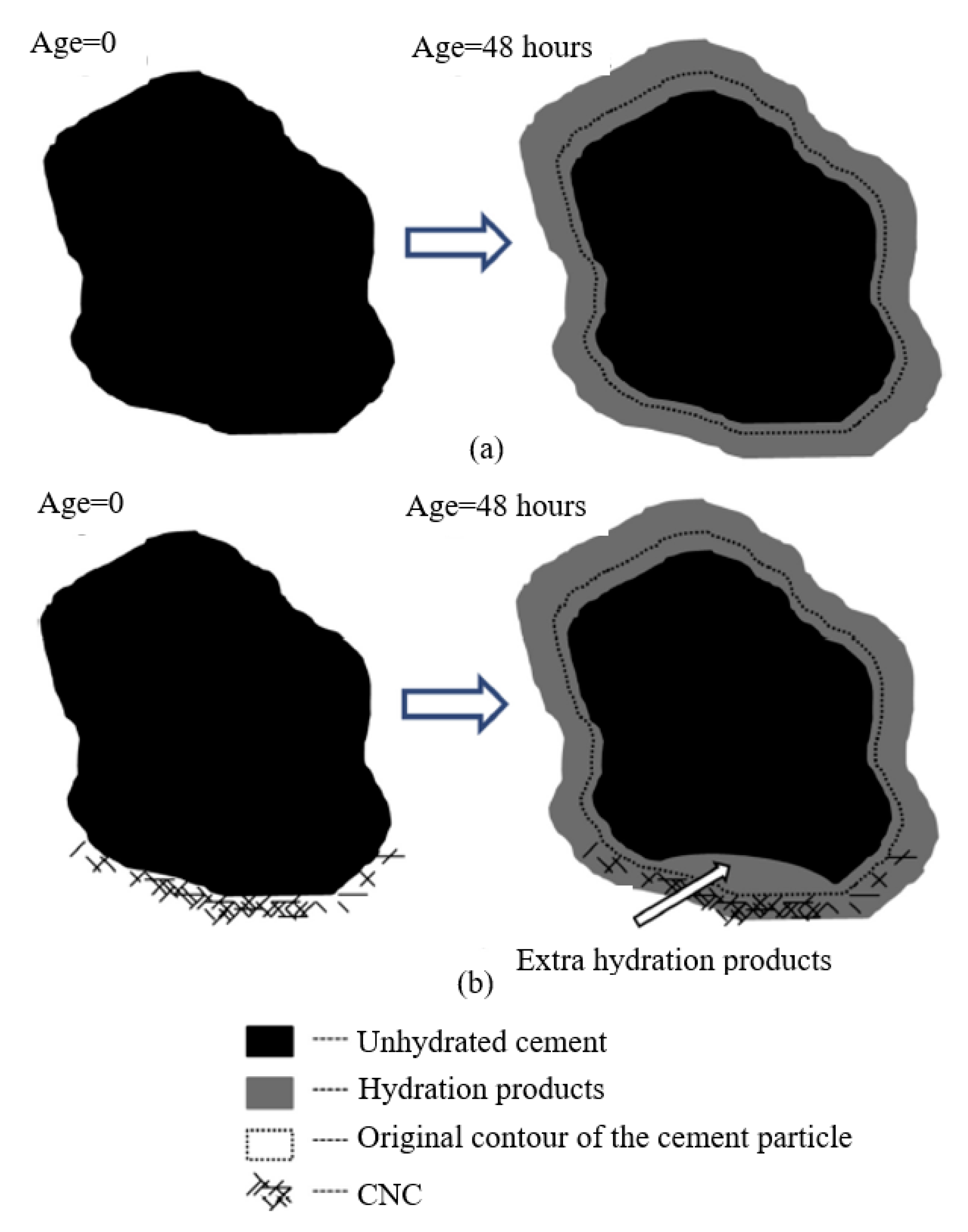 Nanomaterials 10 02476 g006 Nanomaterials 10 02476 g006