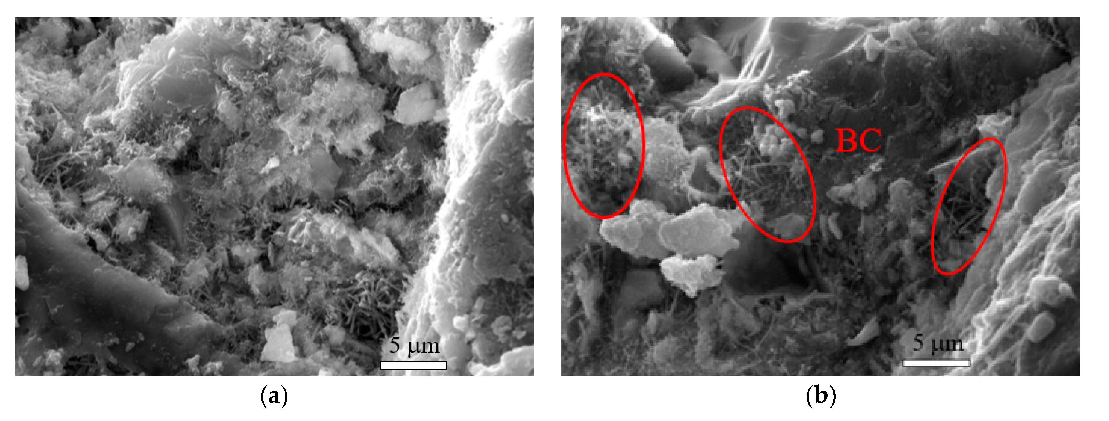 Nanomaterials 10 02476 g009a Nanomaterials 10 02476 g009a