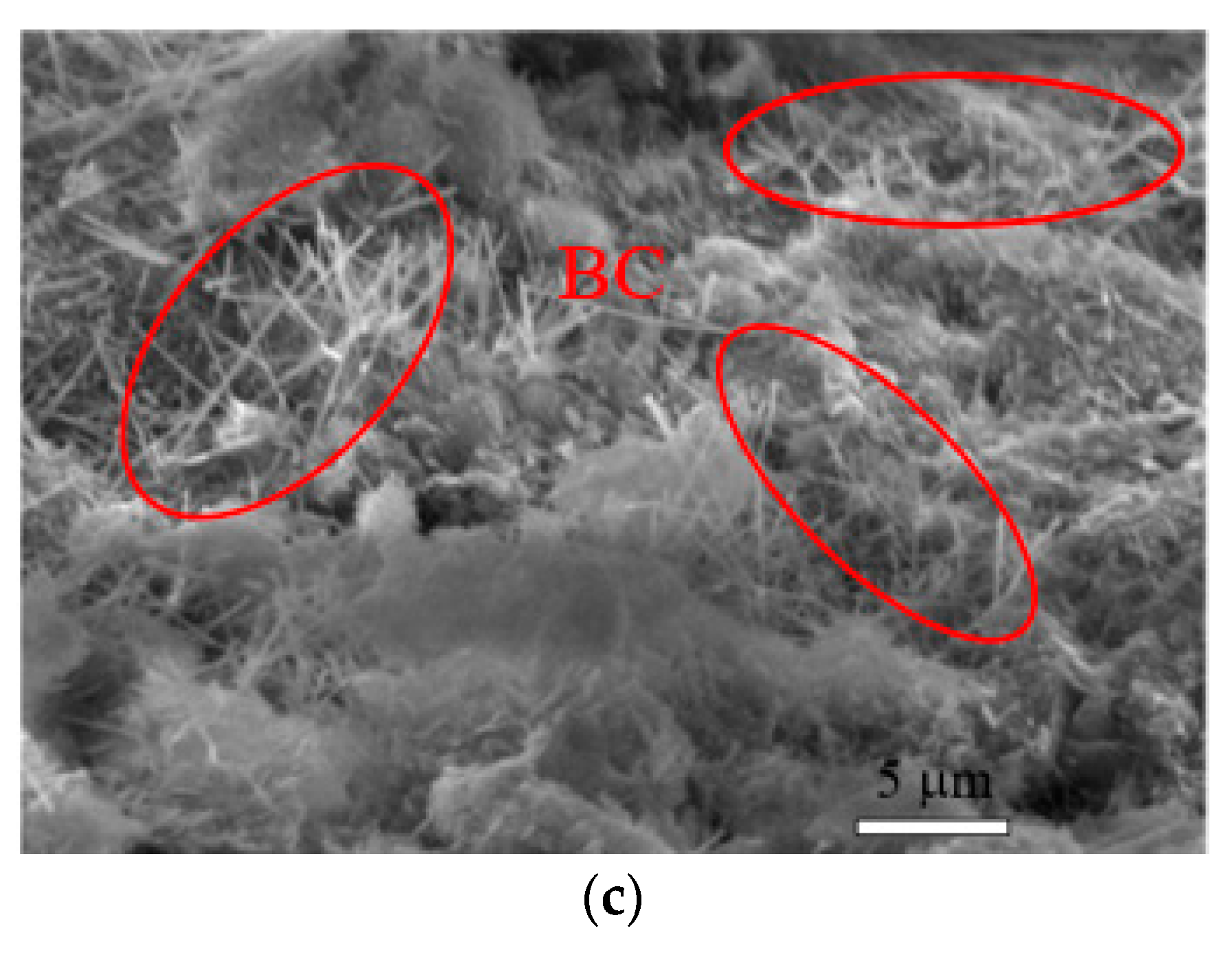 Nanomaterials 10 02476 g009b Nanomaterials 10 02476 g009b