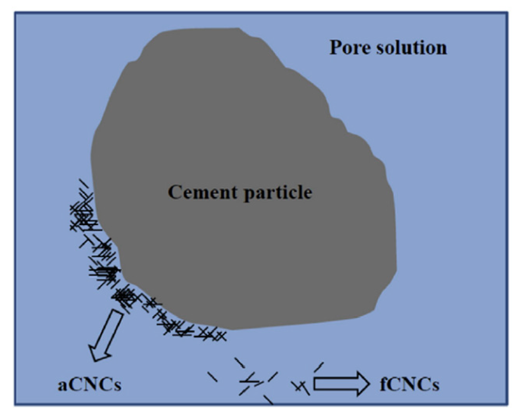 Nanomaterials 10 02476 g011 Nanomaterials 10 02476 g011
