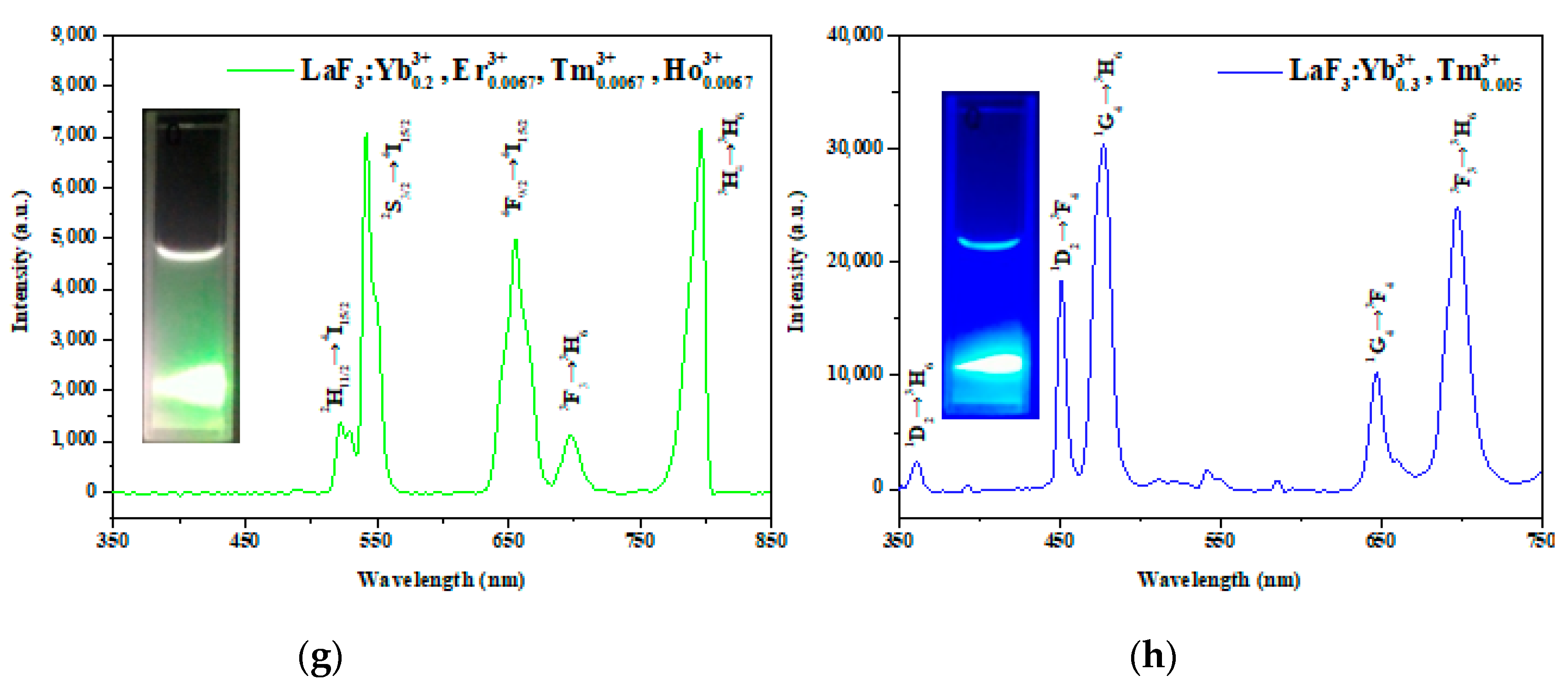 Nanomaterials 10 02477 g005b