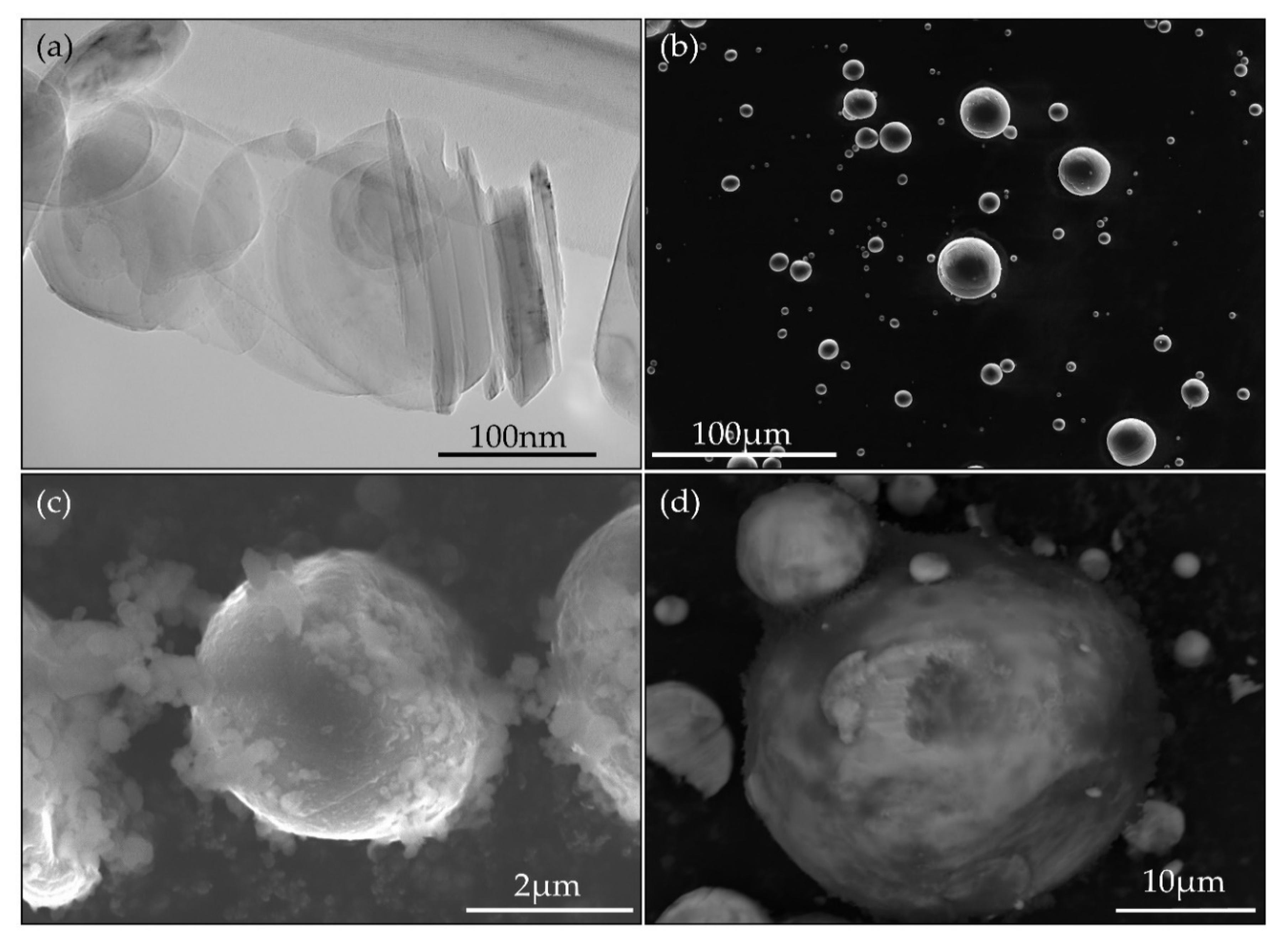 Nanomaterials 10 02480 g001