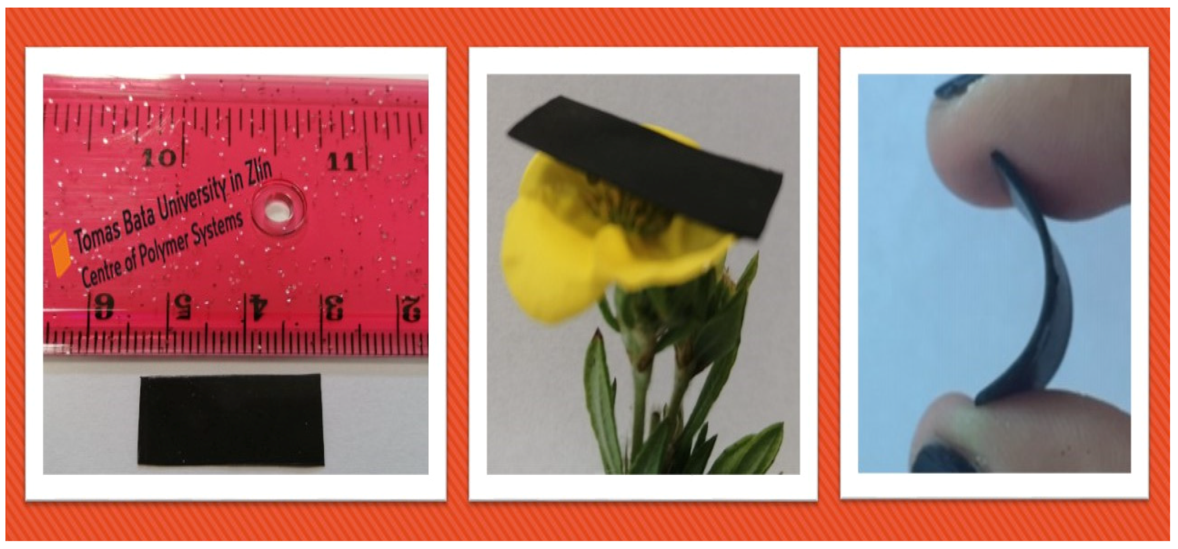 Nanomaterials 10 02481 g003