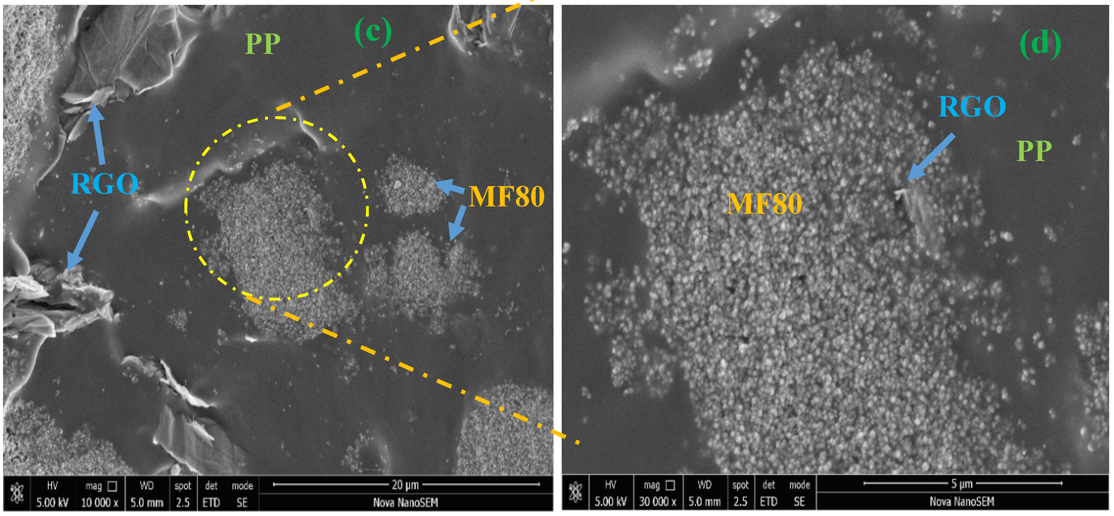 Nanomaterials 10 02481 g005b