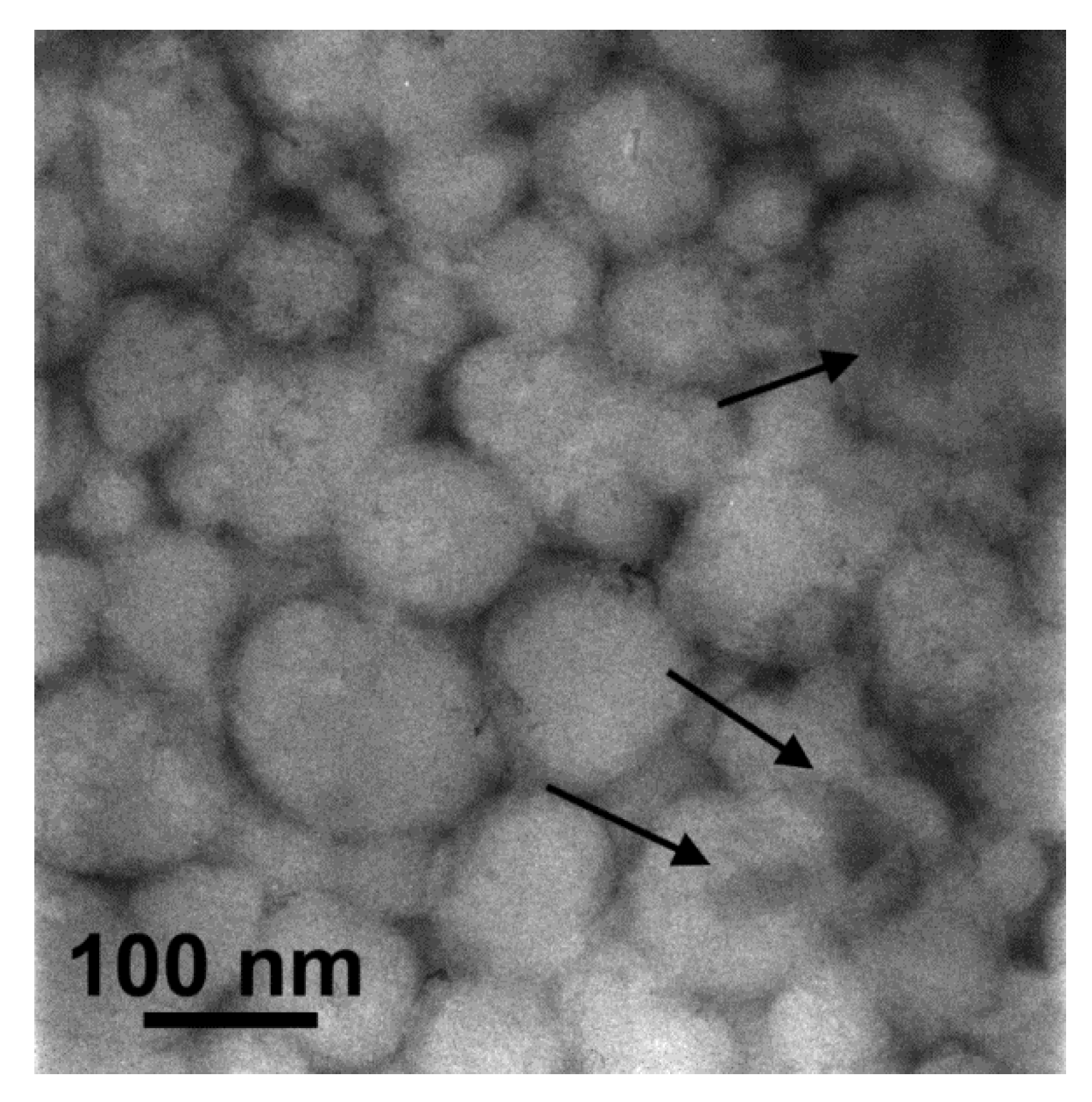Nanomaterials 10 02490 g008 Nanomaterials 10 02490 g008
