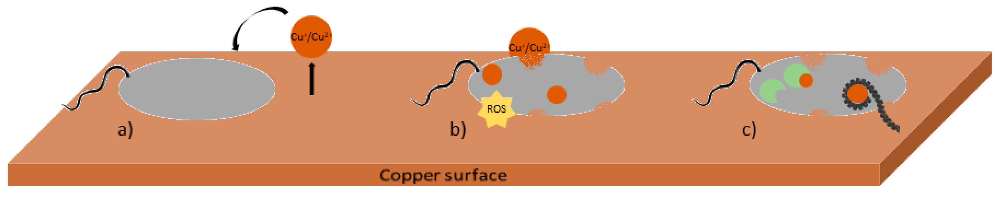 Nanomaterials 10 02491 g001 Nanomaterials 10 02491 g001