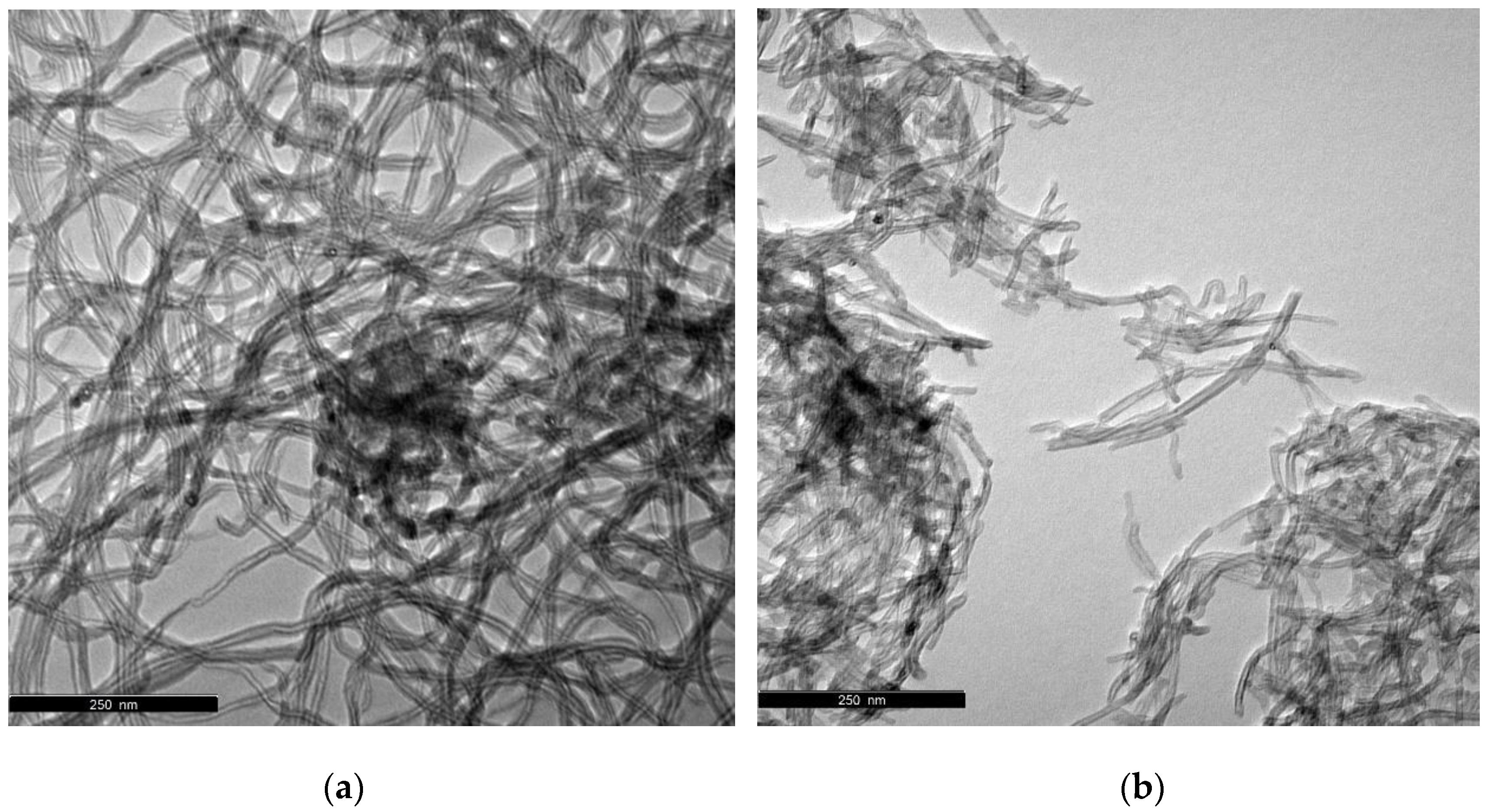 Nanomaterials 10 02496 g001