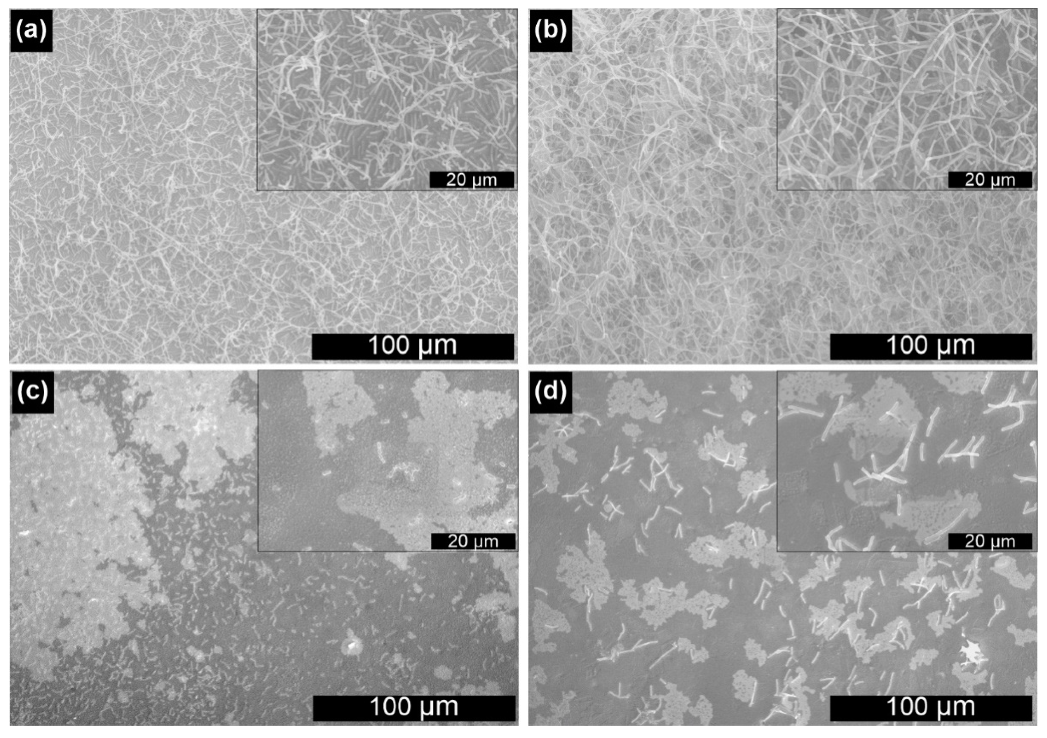 Nanomaterials 10 02499 g003 Nanomaterials 10 02499 g003