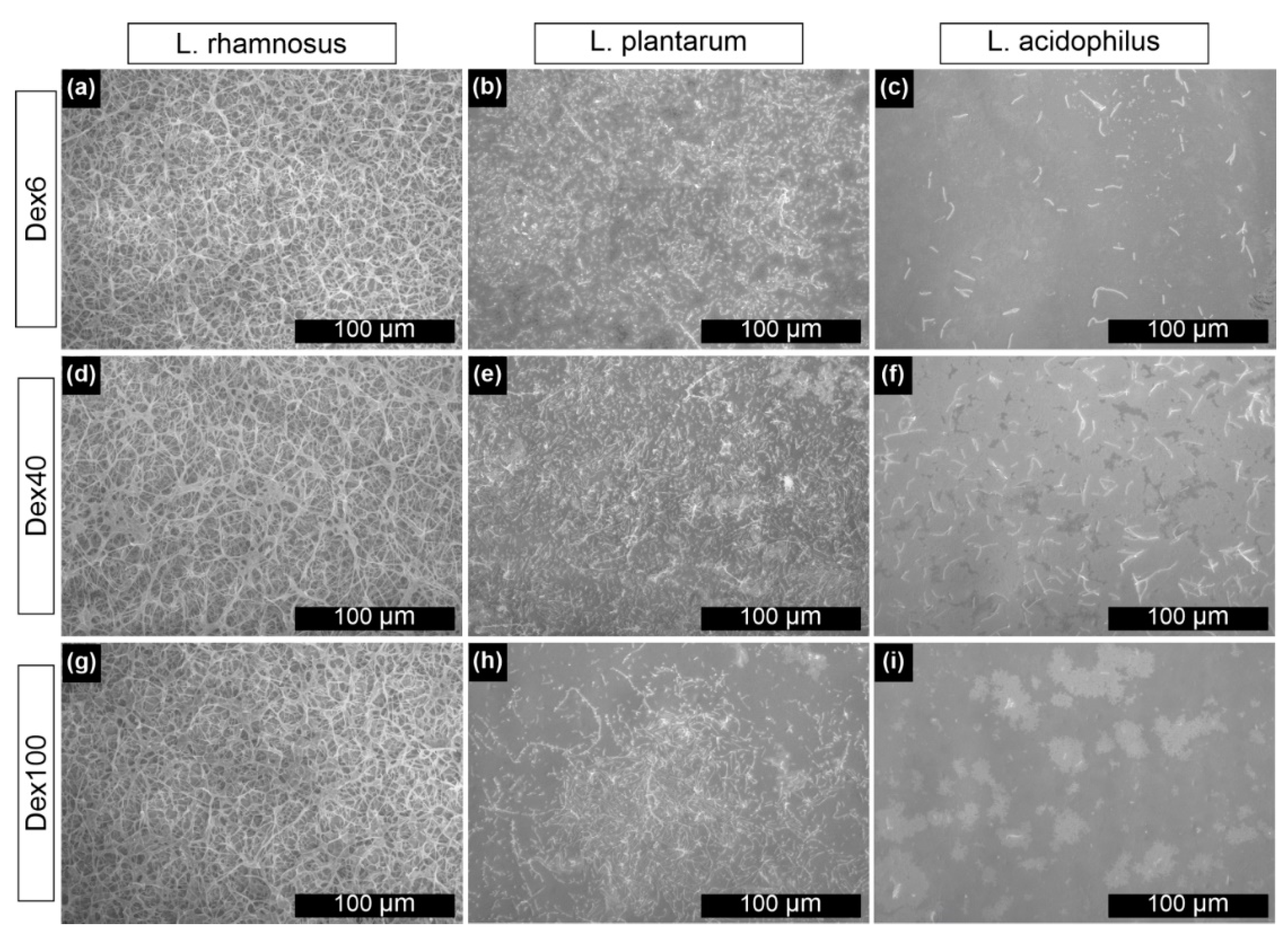 Nanomaterials 10 02499 g006 Nanomaterials 10 02499 g006